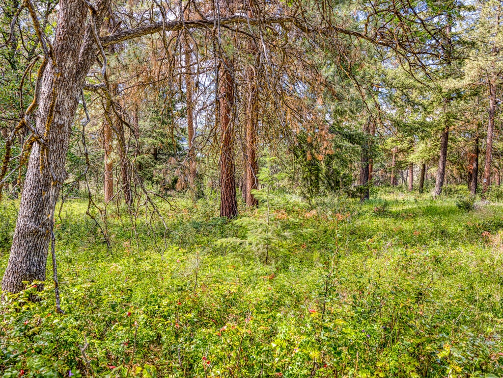 Klamath Falls, Oregon, 97601, United States, ,Land,For Sale,1793869