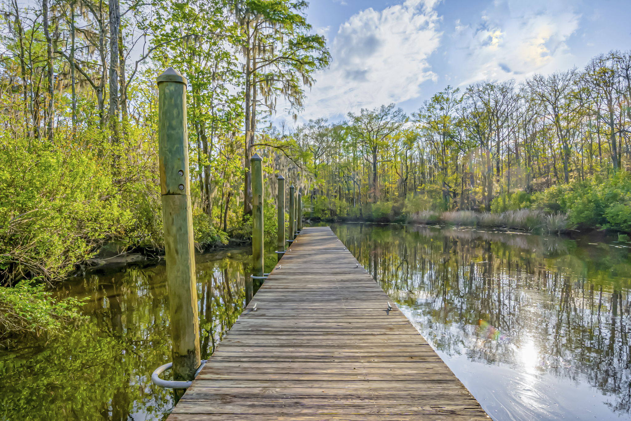  67 Rose Bud Court  Collins Creek Landing in Murrells Inlet, SC - 物件實景