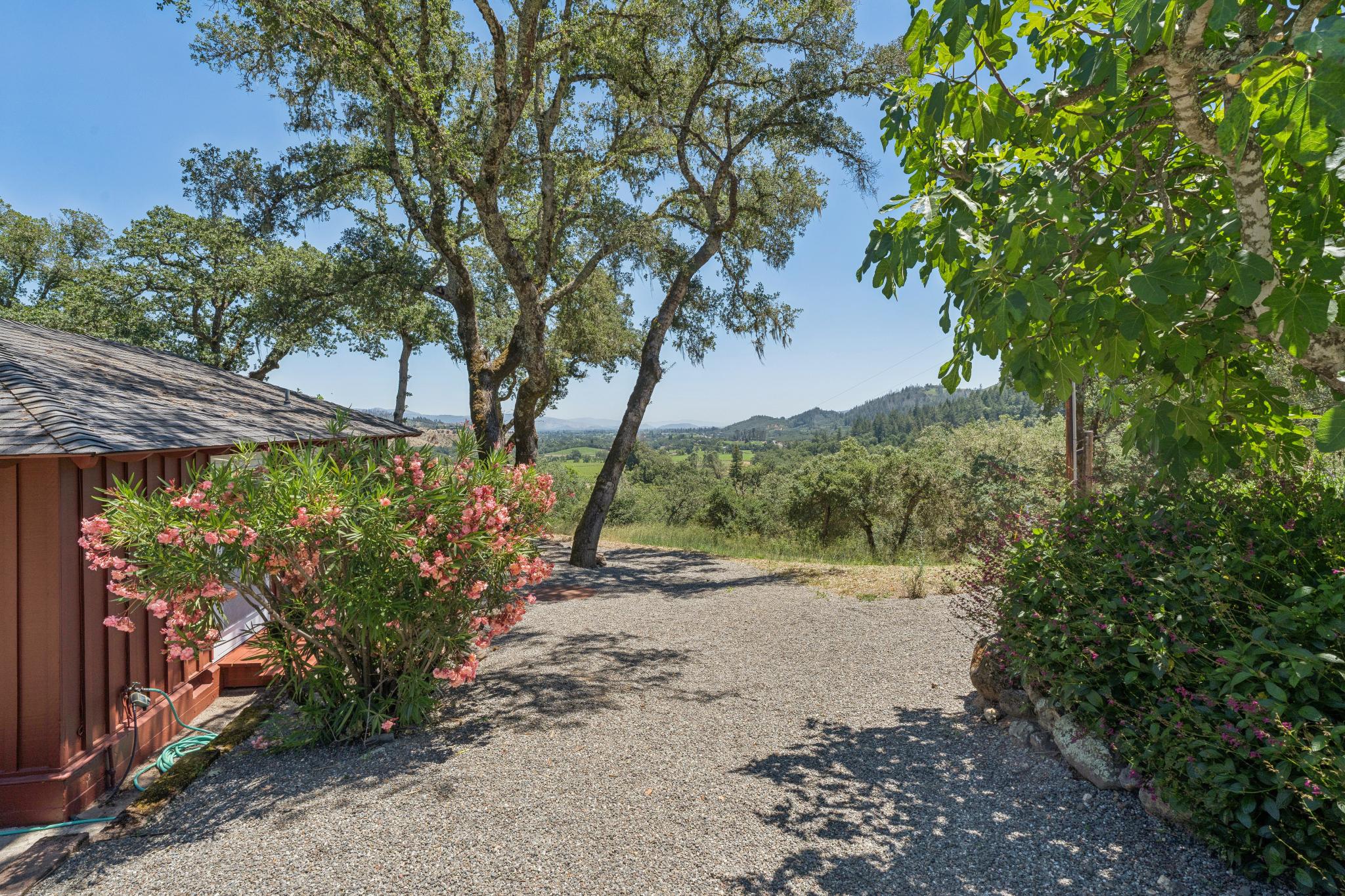  3393 St. Helena Hwy N. - 物件實景