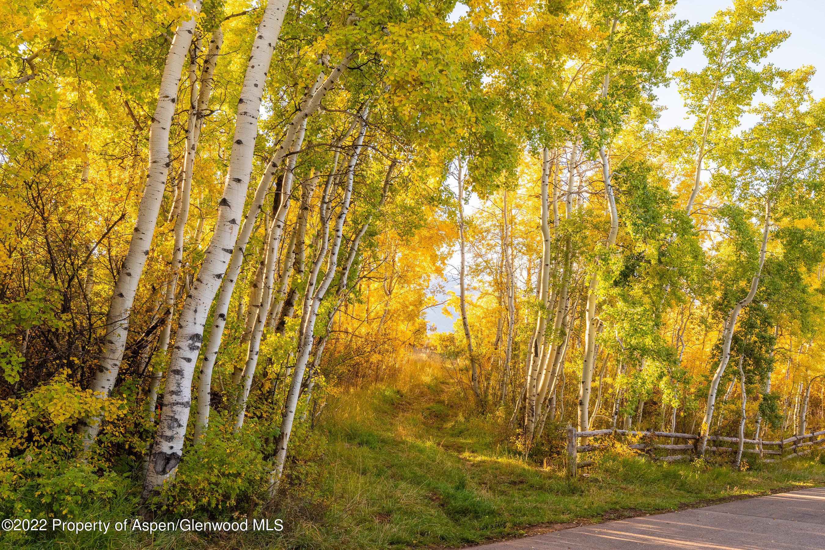 980 S Starwood Drive, Aspen, Colorado, 81611, United States, ,Land,For Sale,980 s starwood DR,1637915