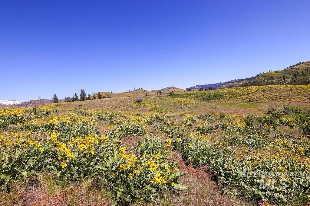 Council, Idaho, 83612, United States, ,Residential,For Sale,1862004