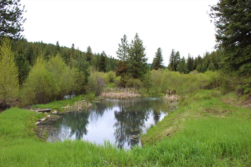 New Meadows, Idaho, 83654, United States, 1 Bedroom Bedrooms, ,1 BathroomBathrooms,Residential,For Sale,1974065