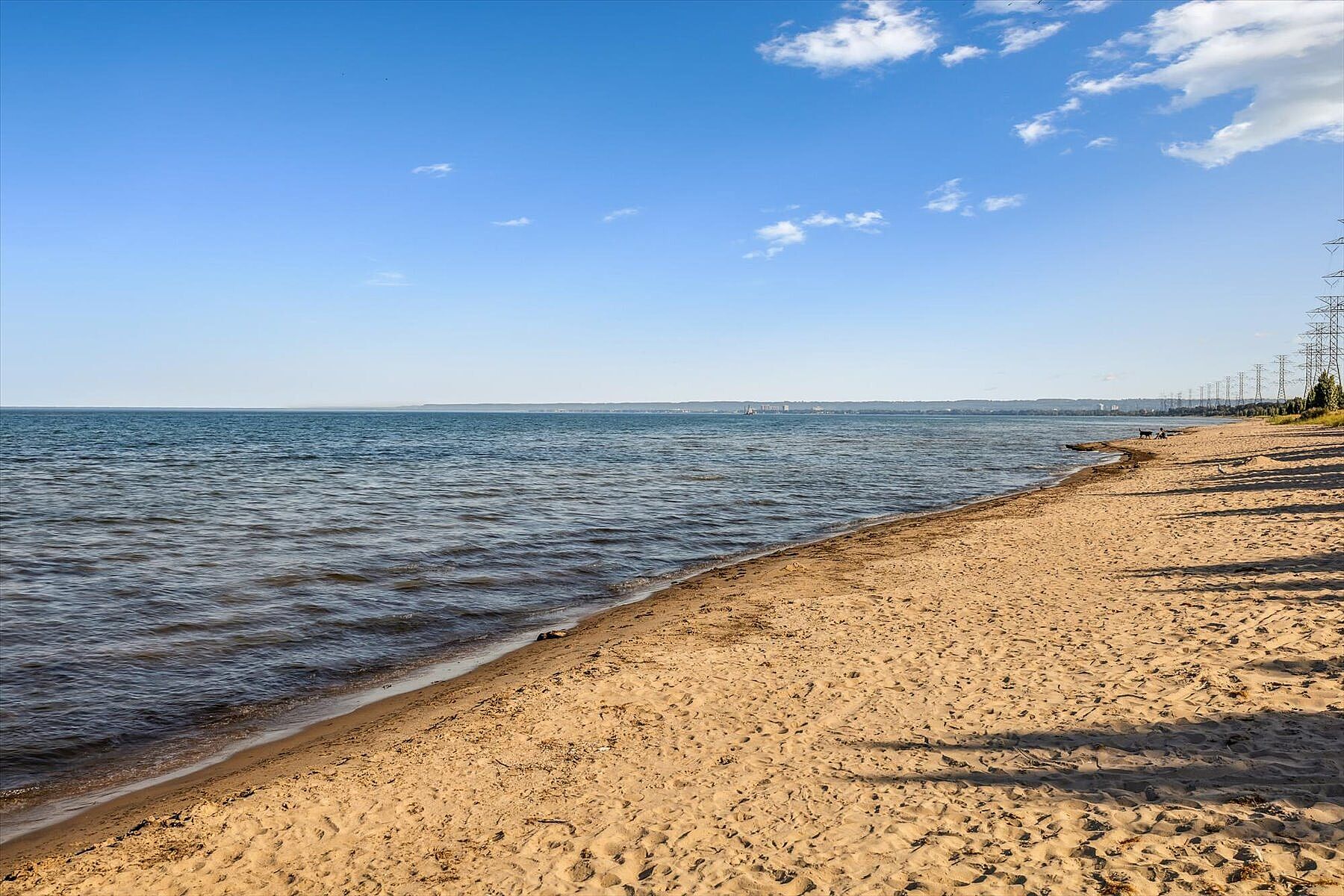  Beachside Living in Hamilton - 物件實景