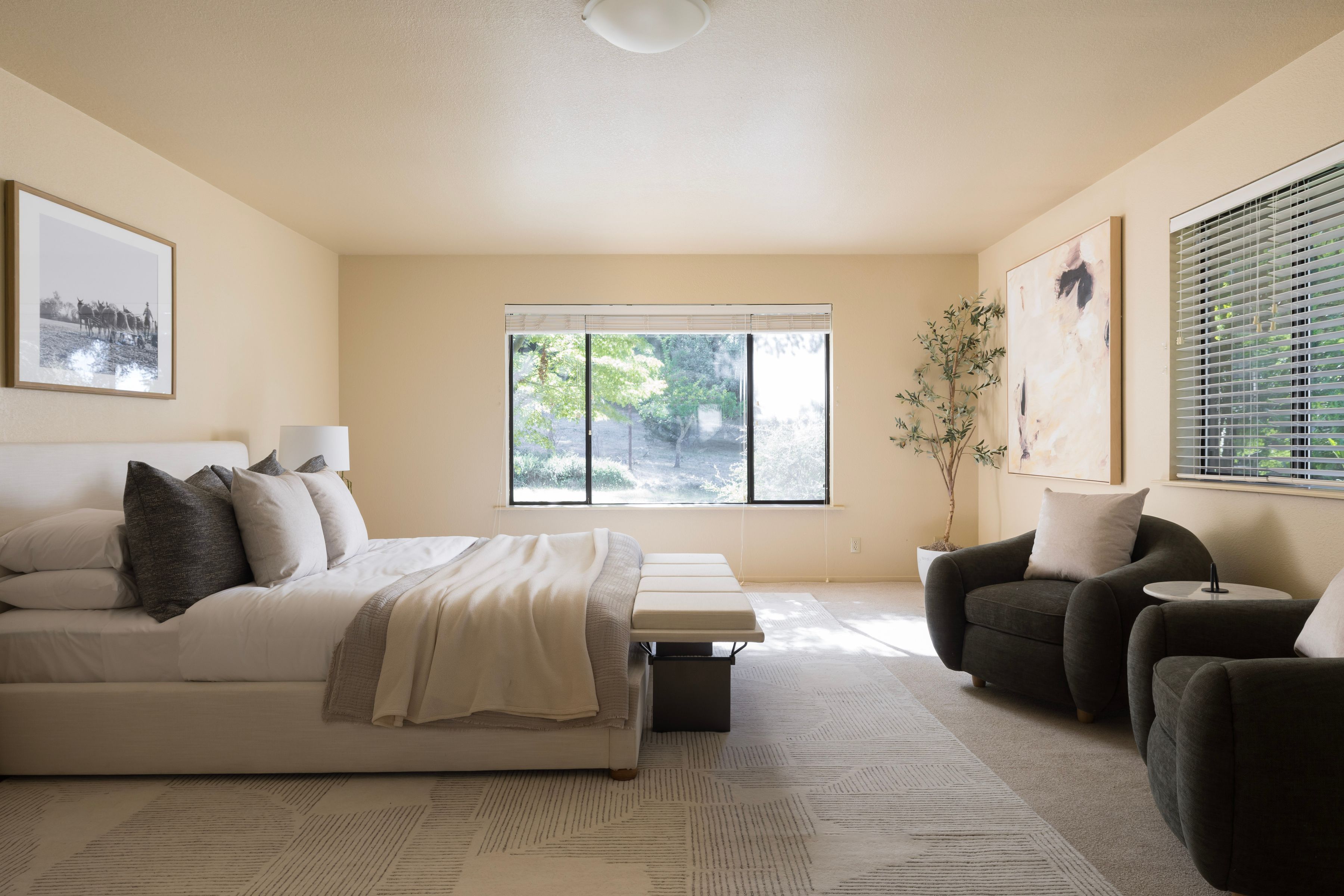  3460 Mount Veeder Road - 物件實景
