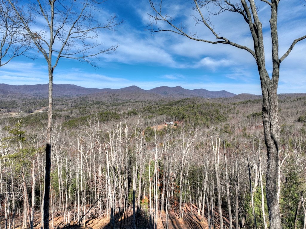 Mineral Bluff, Georgia, 30559, United States, 4 Bedrooms Bedrooms, ,4 BathroomsBathrooms,Residential,For Sale,2010498