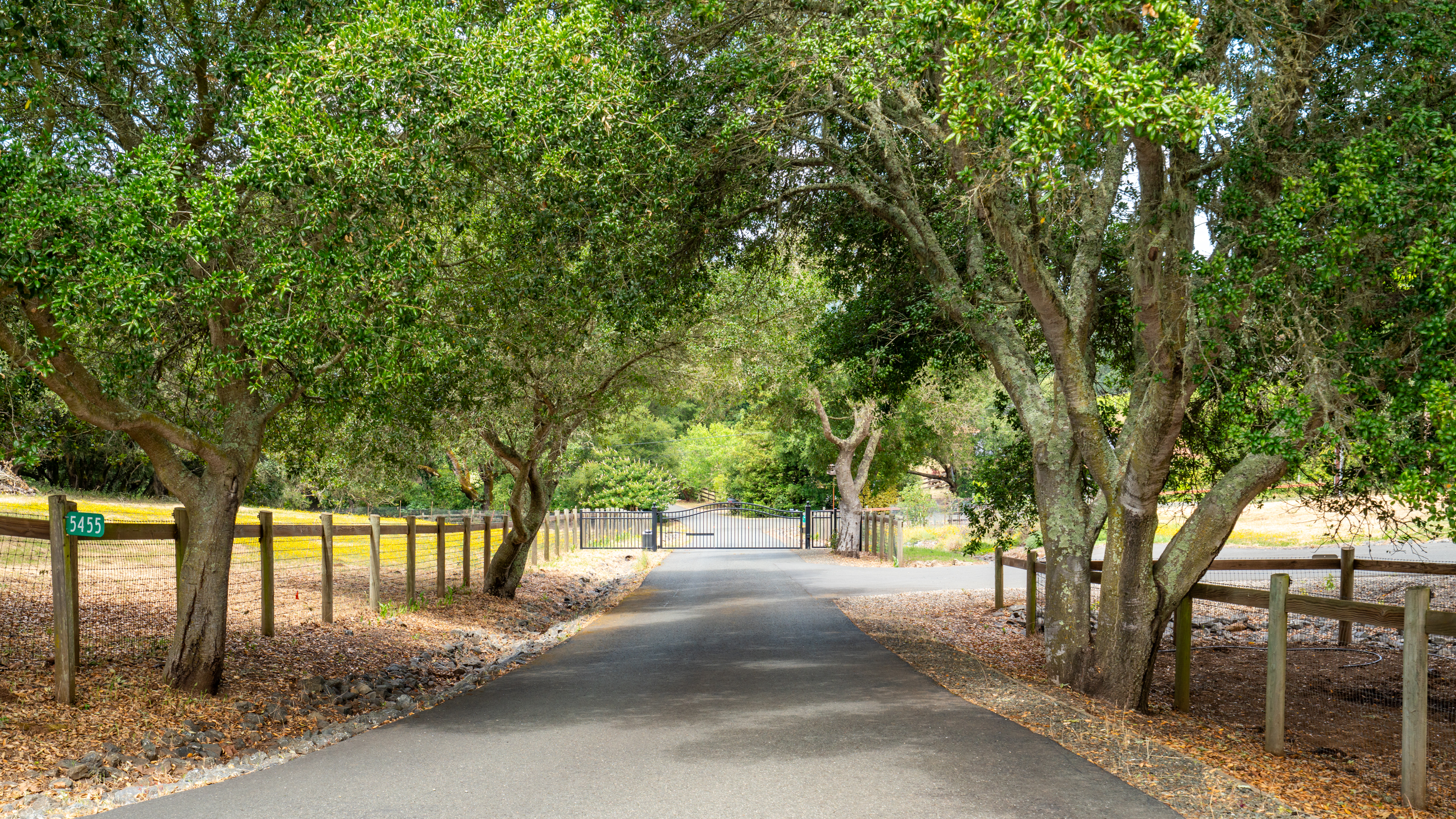  Exceptional Bennett Valley Country Estate - 物件實景