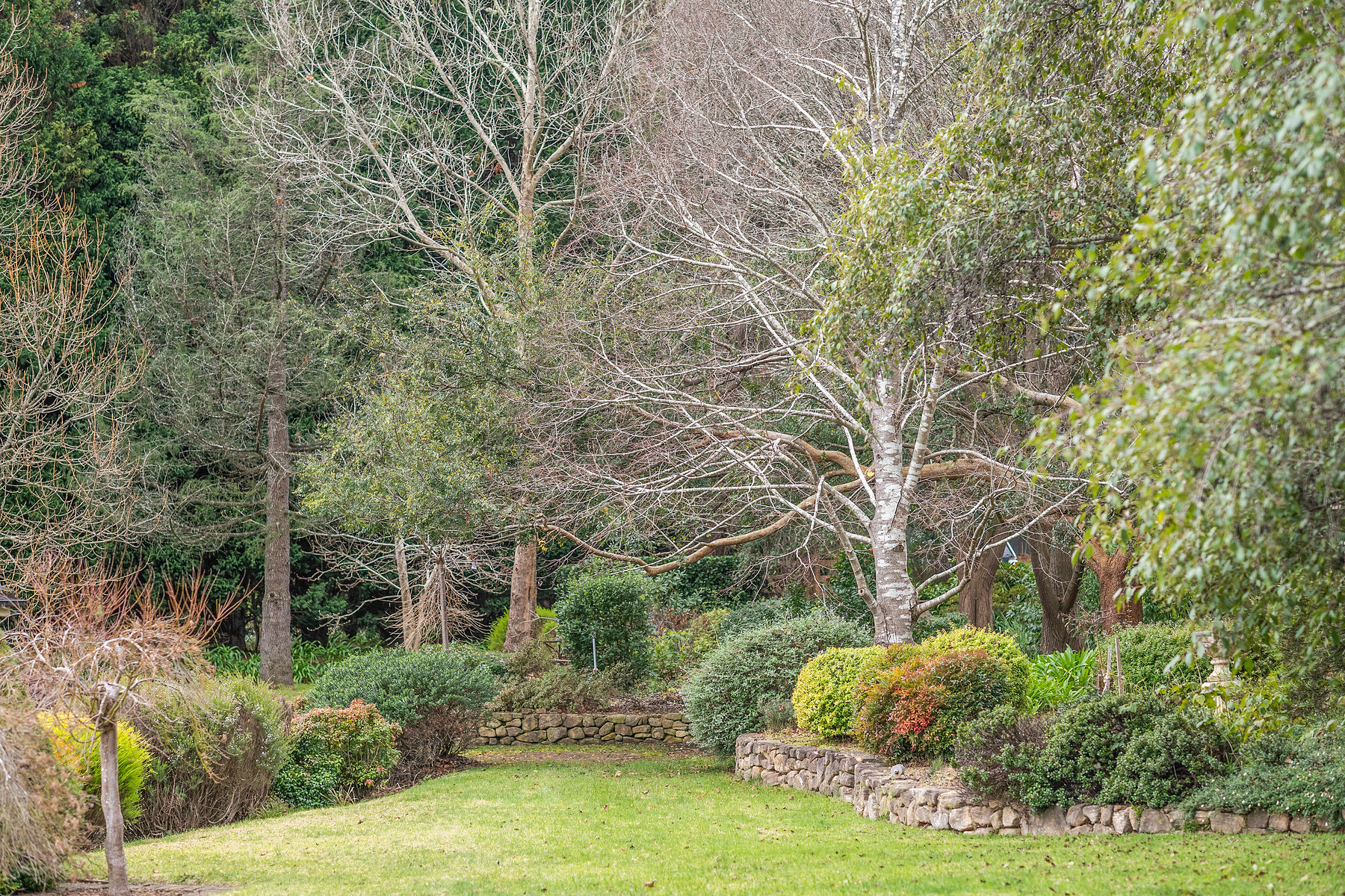  51 Hurlingham Avenue - 物件實景