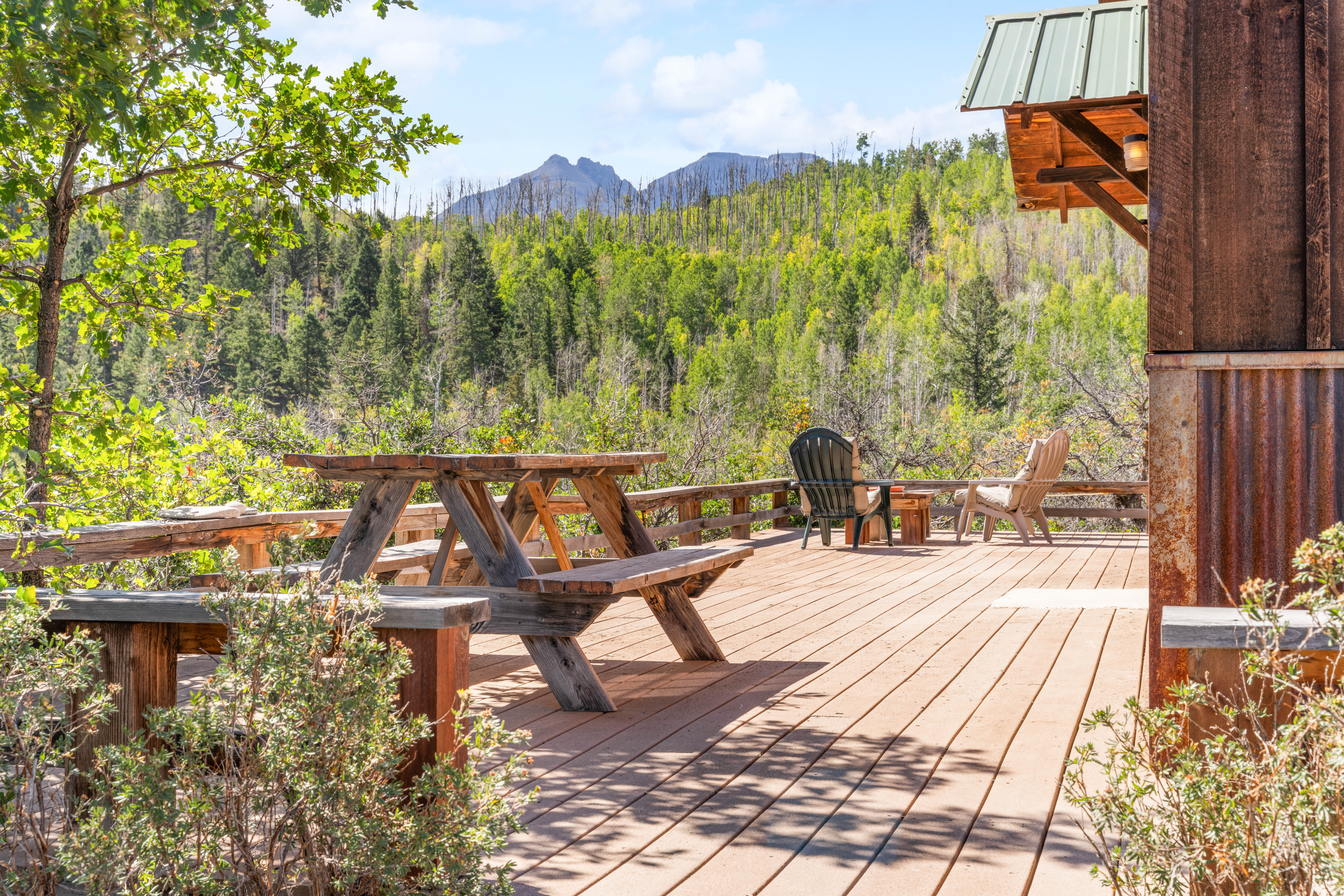  1100 Aspen Drive, Ridgway, CO, 81432 - 物件實景