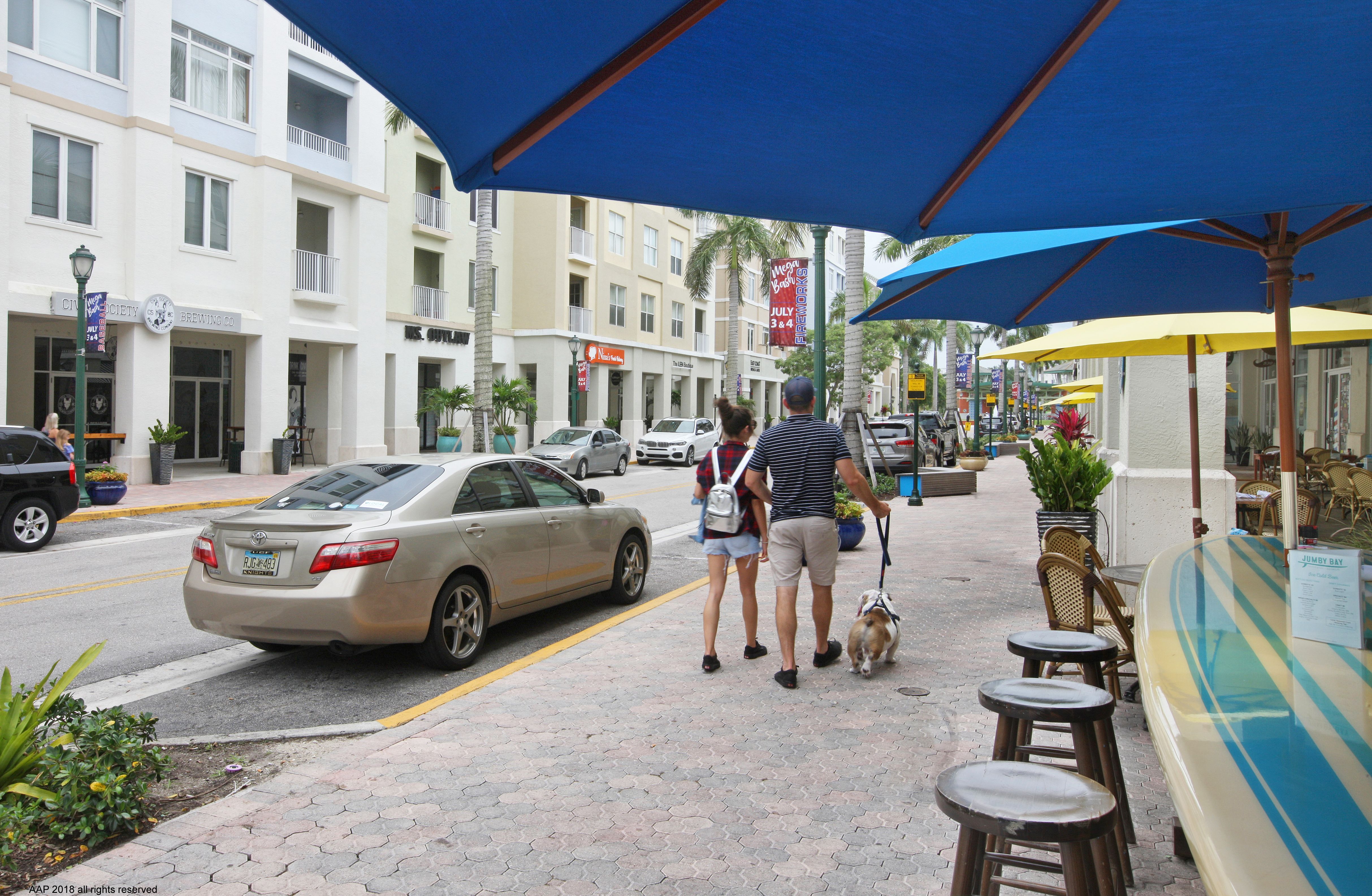  1421 Windley Key Way, Jupiter, FL, 33458 - 物件實景