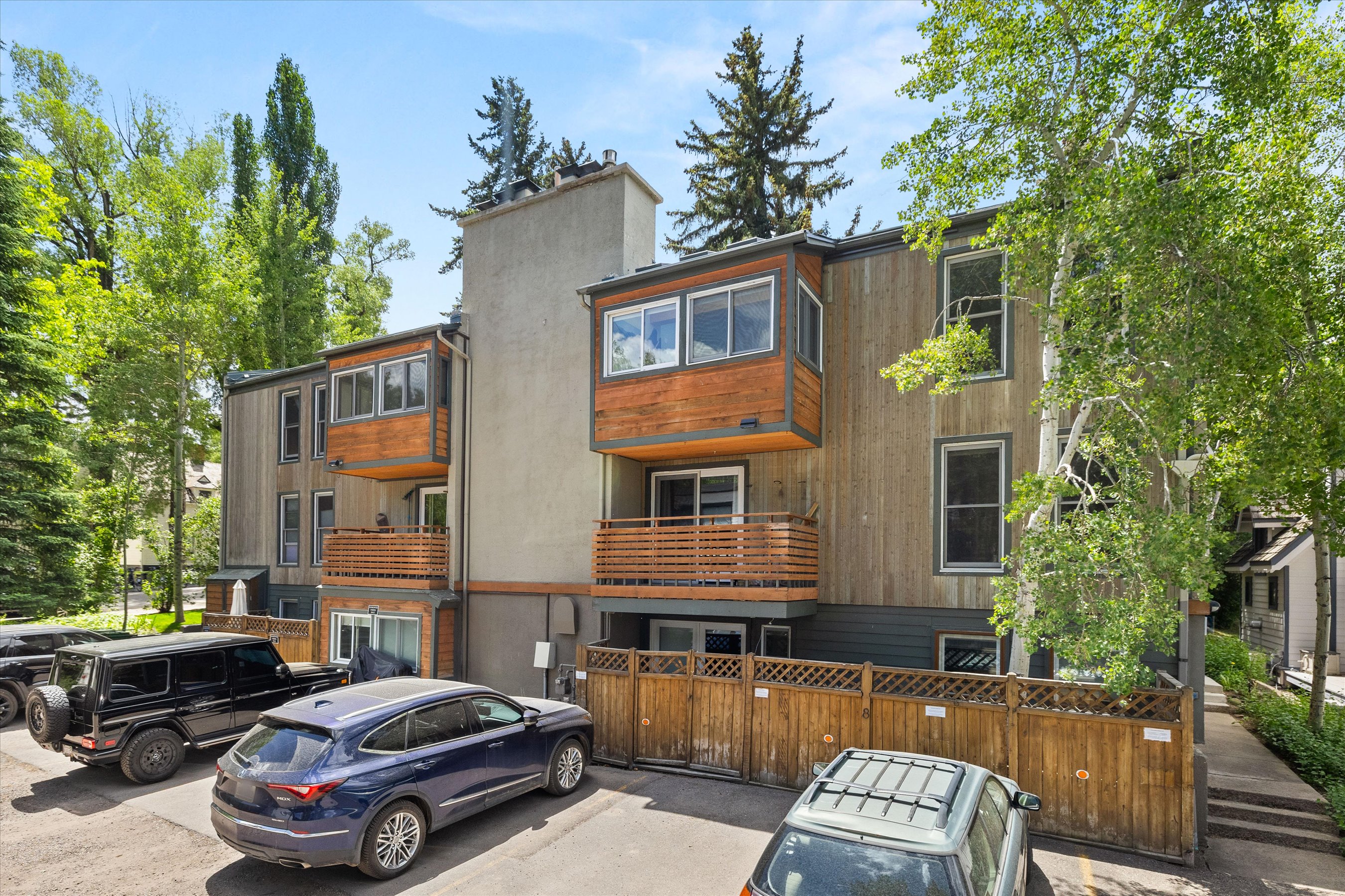  910 W Hallam Street, Aspen, CO, 81611 - 物件實景