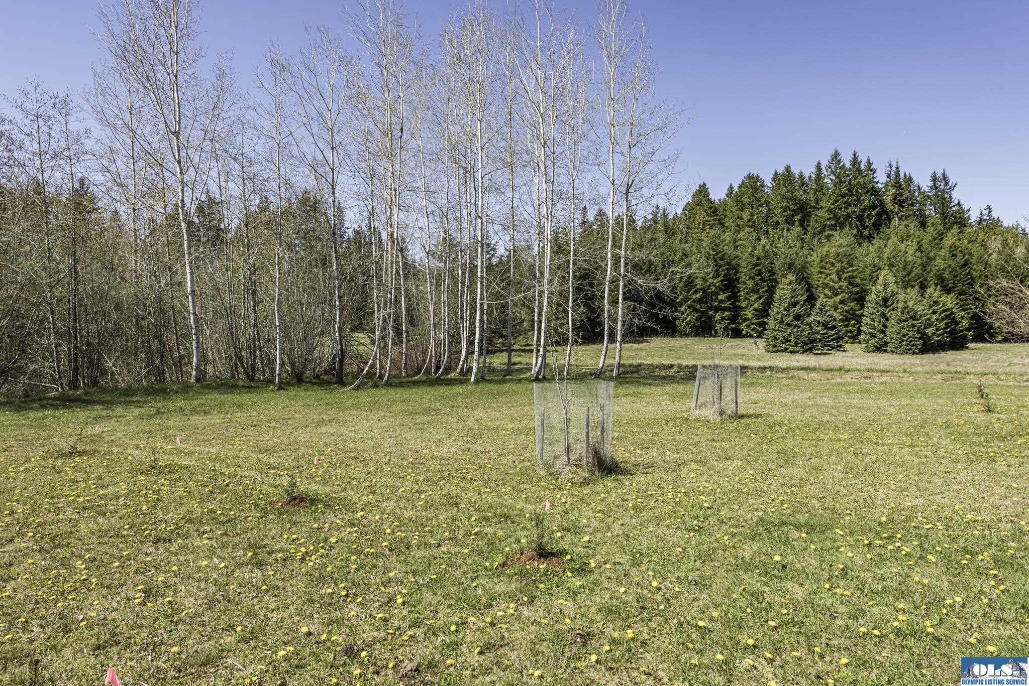 Sequim, Washington, 98382, United States, ,Land,For Sale,1787569