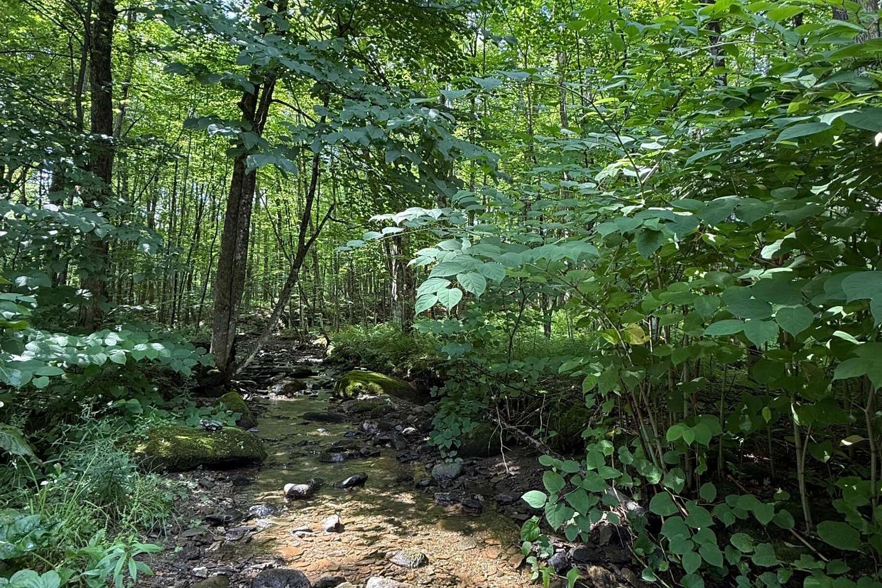  Lac-Brome, Eastern Townships - 物件實景