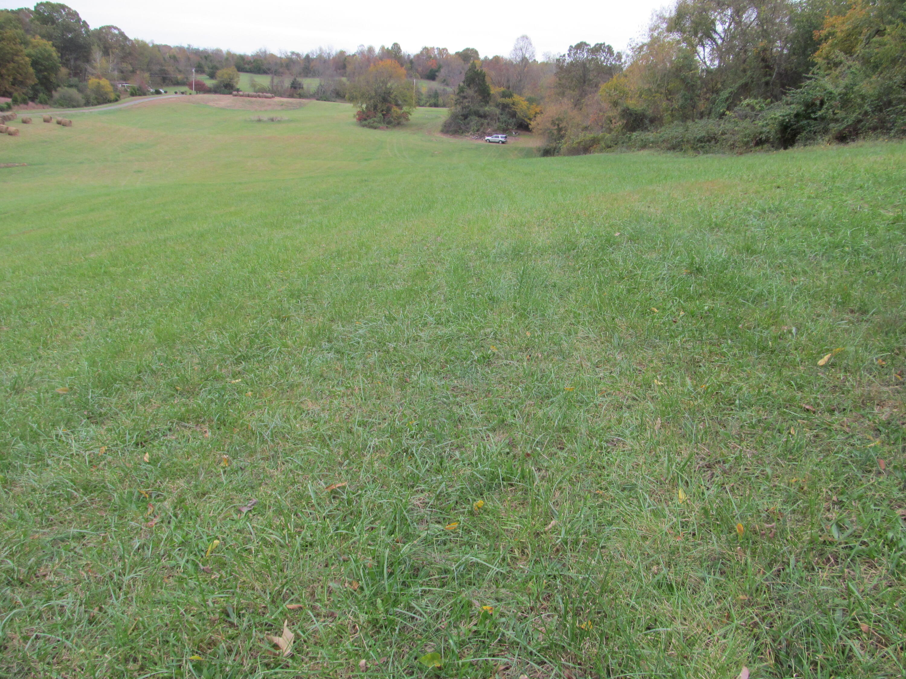 Gray, Tennessee, 37615, United States, ,Land,For Sale,1976821