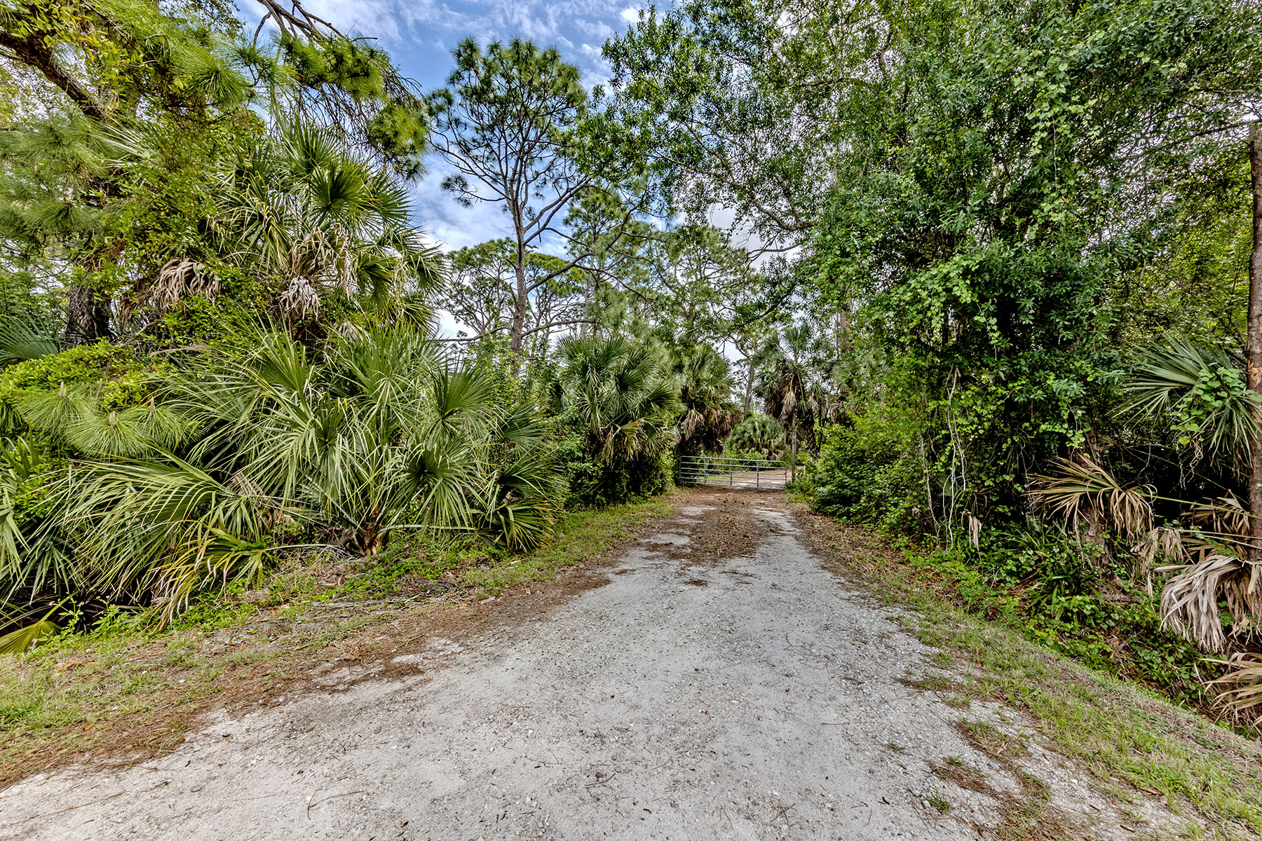 VENICE FARMS - 物件實景