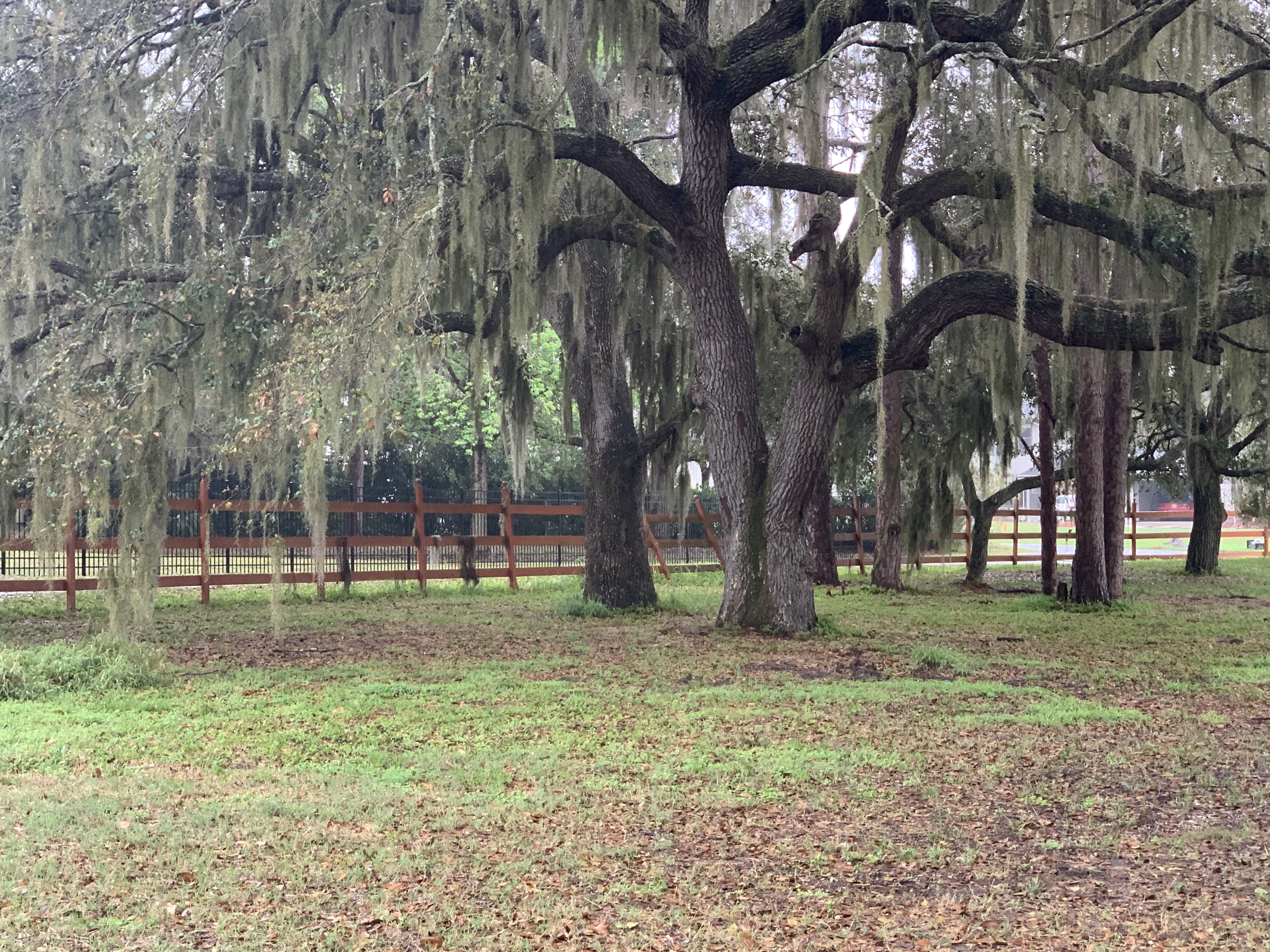 Marjorie Rd, St Cloud, Florida, 34772, United States, ,Land,For Sale,Marjorie Rd,1627842