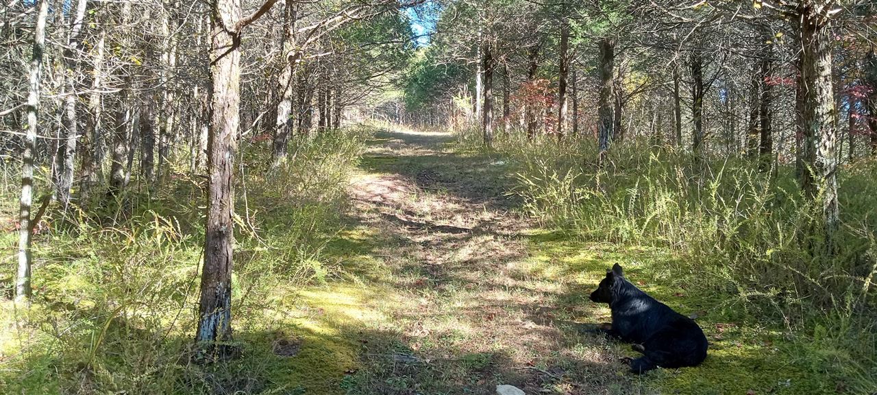 Willow Shade, Kentucky, 42166, United States, 3 Bedrooms Bedrooms, ,2 BathroomsBathrooms,Residential,For Sale,1991903
