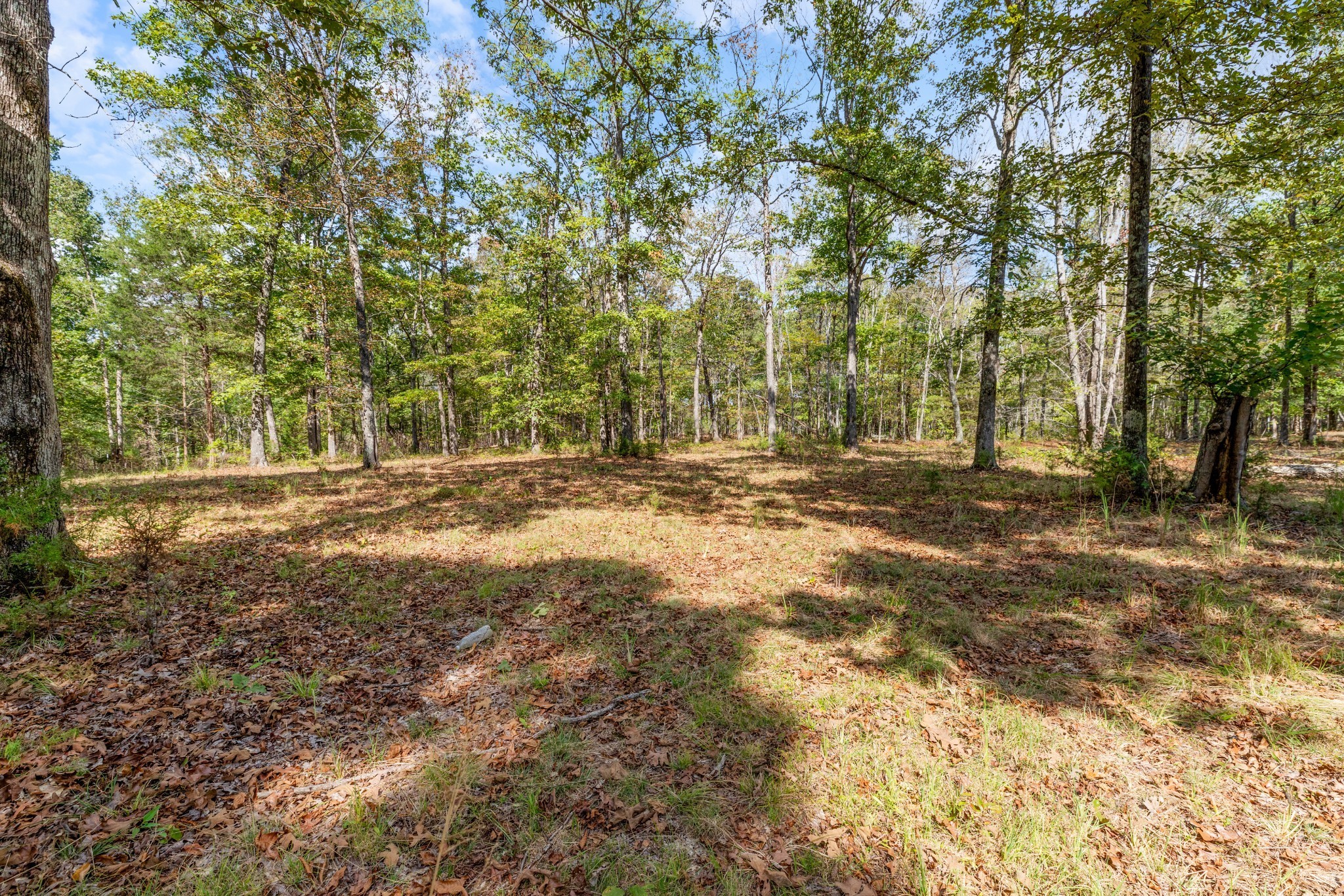 Mc Ewen, Tennessee, 37101, United States, ,Residential,For Sale,1923664