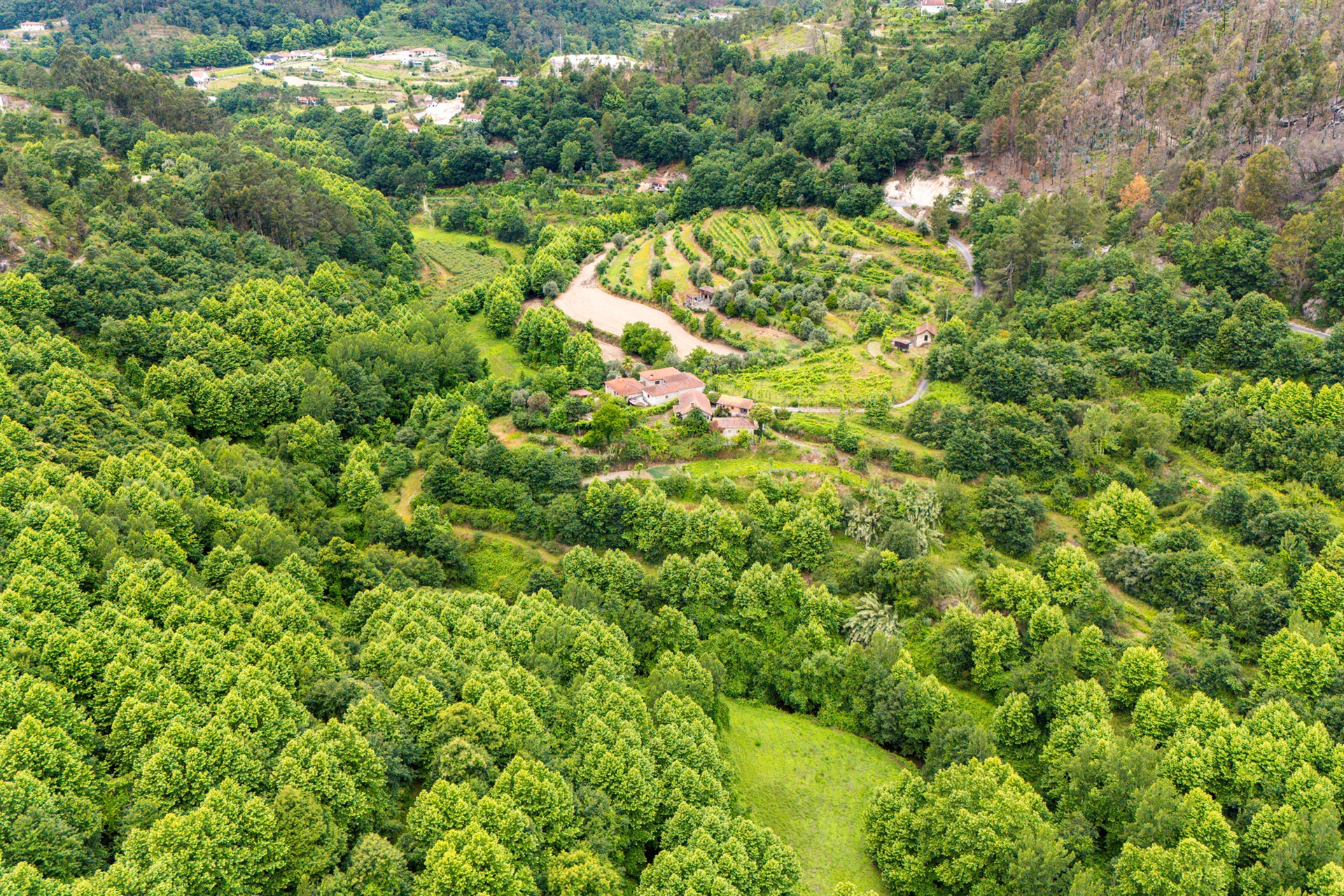  Farm, 3 bedrooms, for Sale - 物件實景