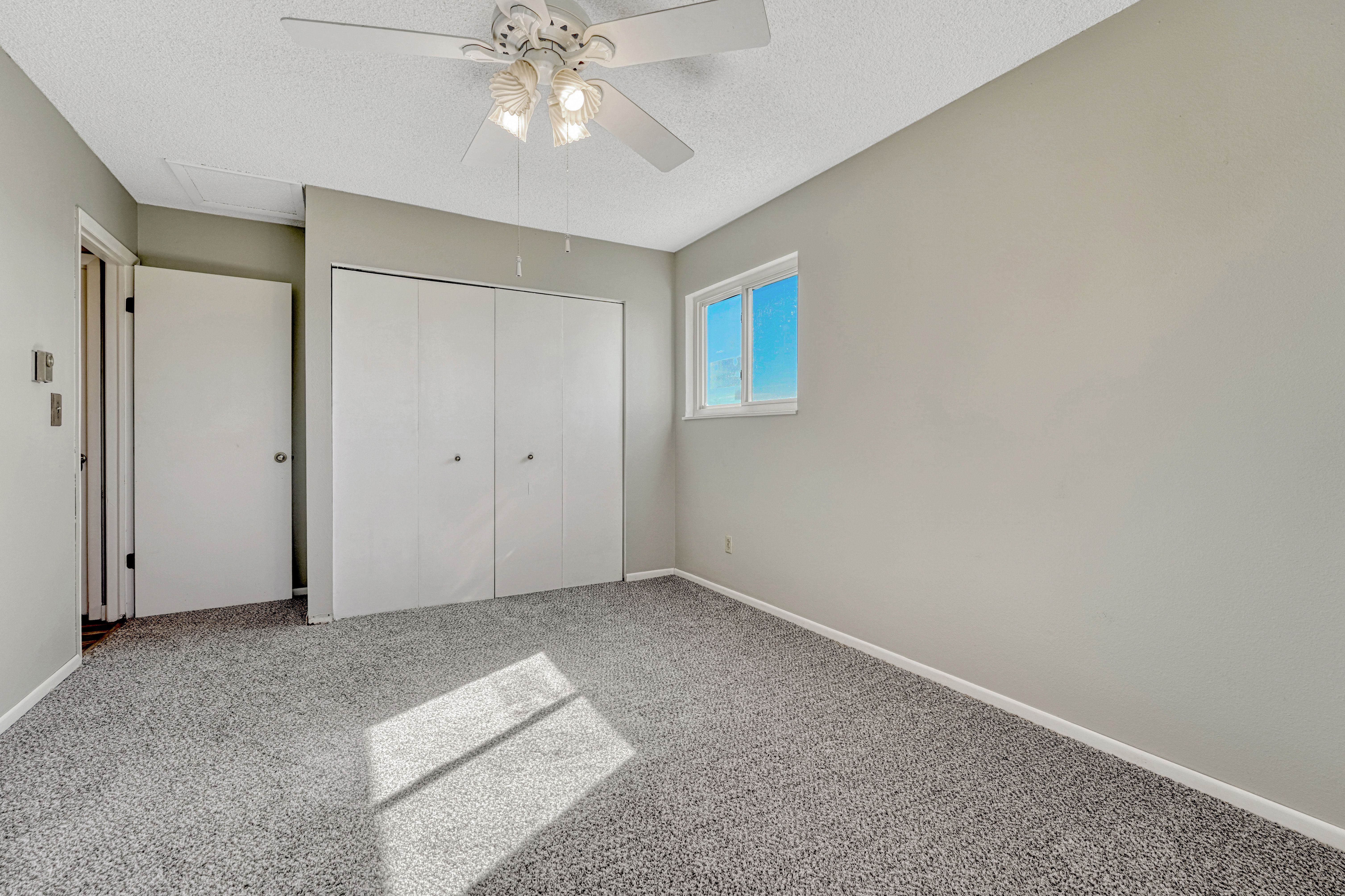  Amazing equestrian property in Black Forest on almost 6 acres - 物件實景