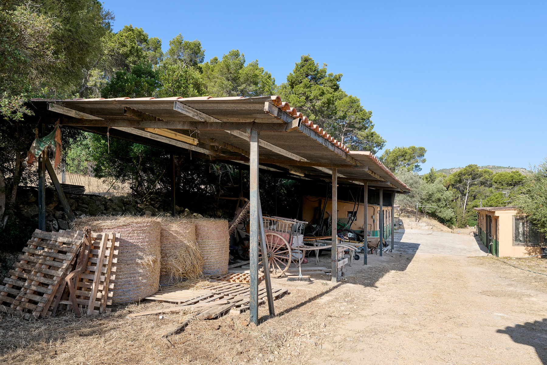  Country Estate with Equestrian Facilities in Port Andratx - 物件實景