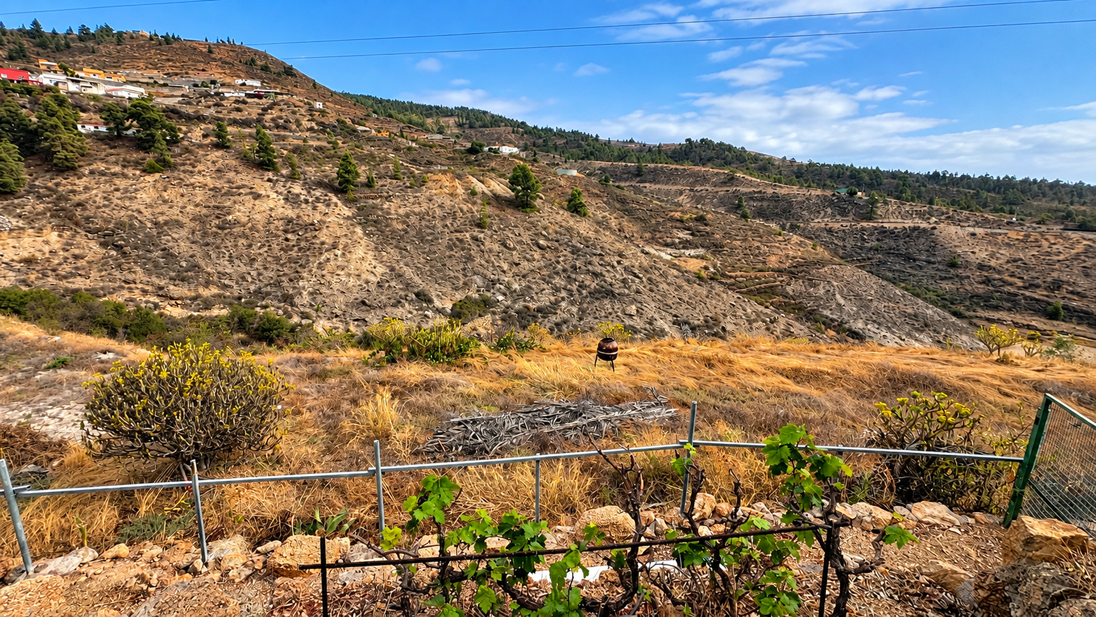  Traditional Estate with Three Homes and View of the Atlantic in Tenerife - 物件實景