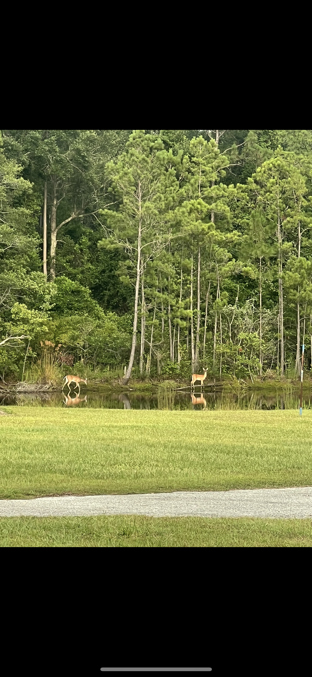 LAKE CITY, Florida, 32024, United States, 3 Bedrooms Bedrooms, ,2 BathroomsBathrooms,Residential,For Sale,1948883