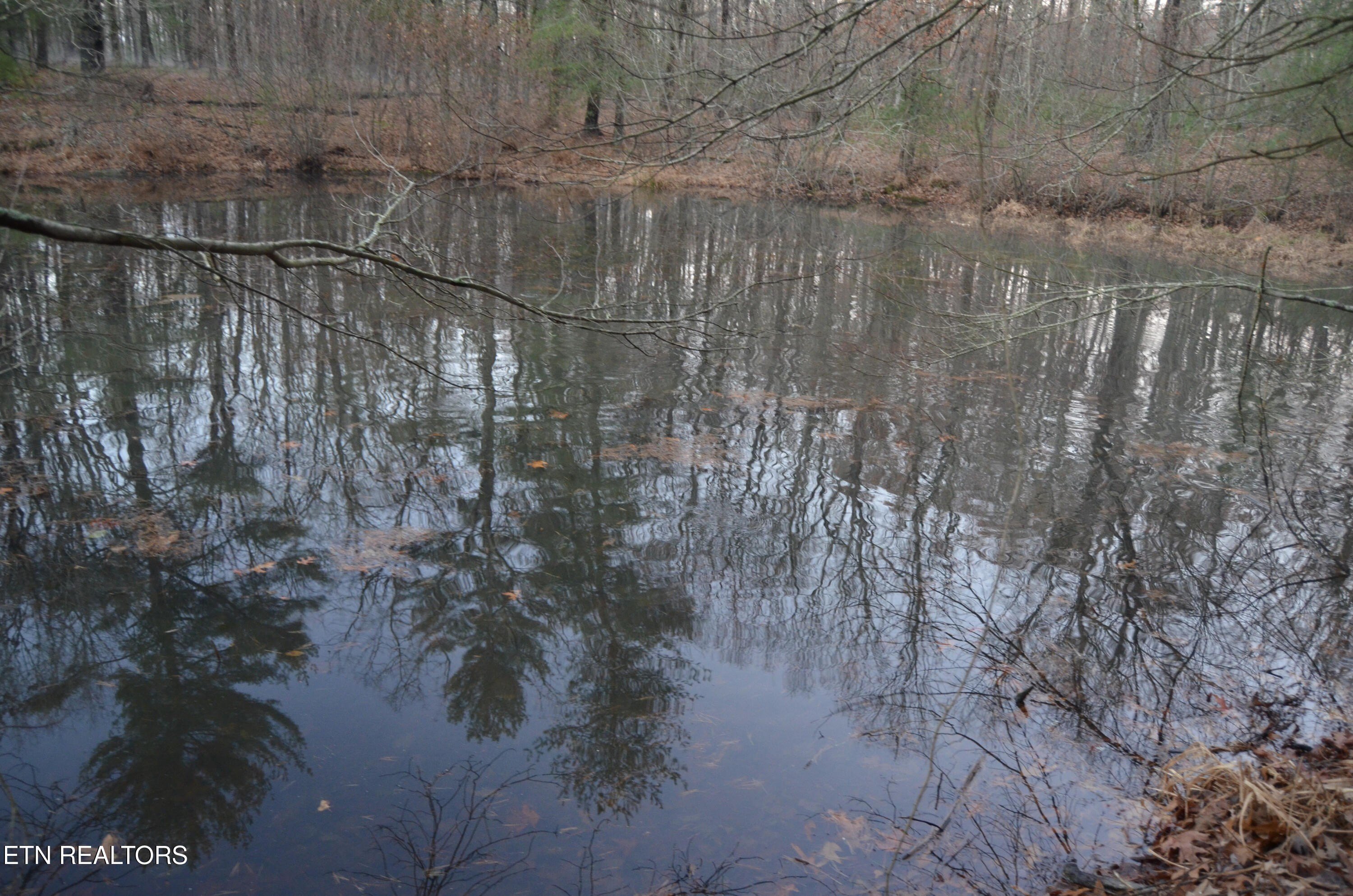 Crossville, Tennessee, 38555, United States, ,Land,For Sale,1983294