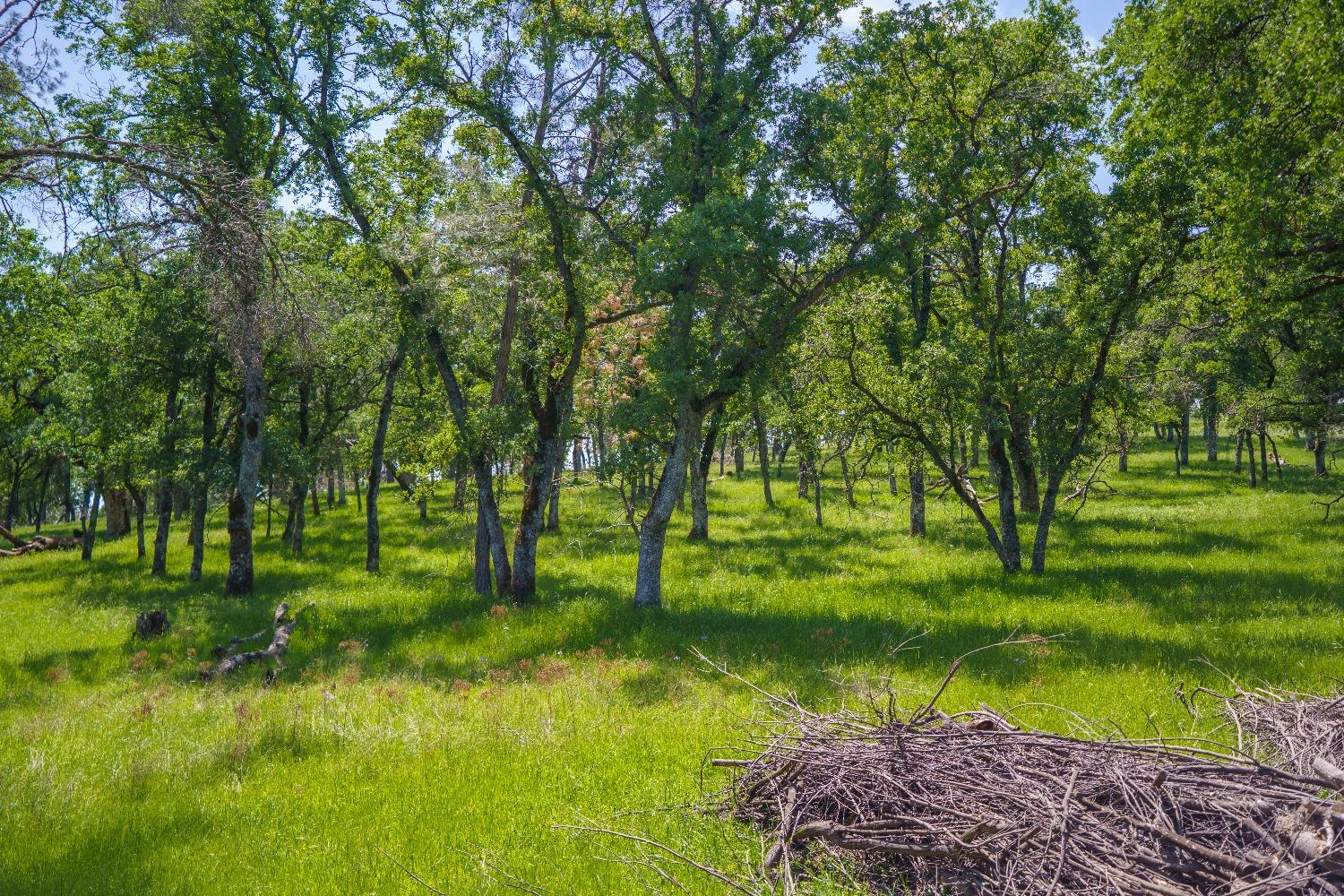 Lincoln, California, 95648, United States, ,Land,For Sale,1784125