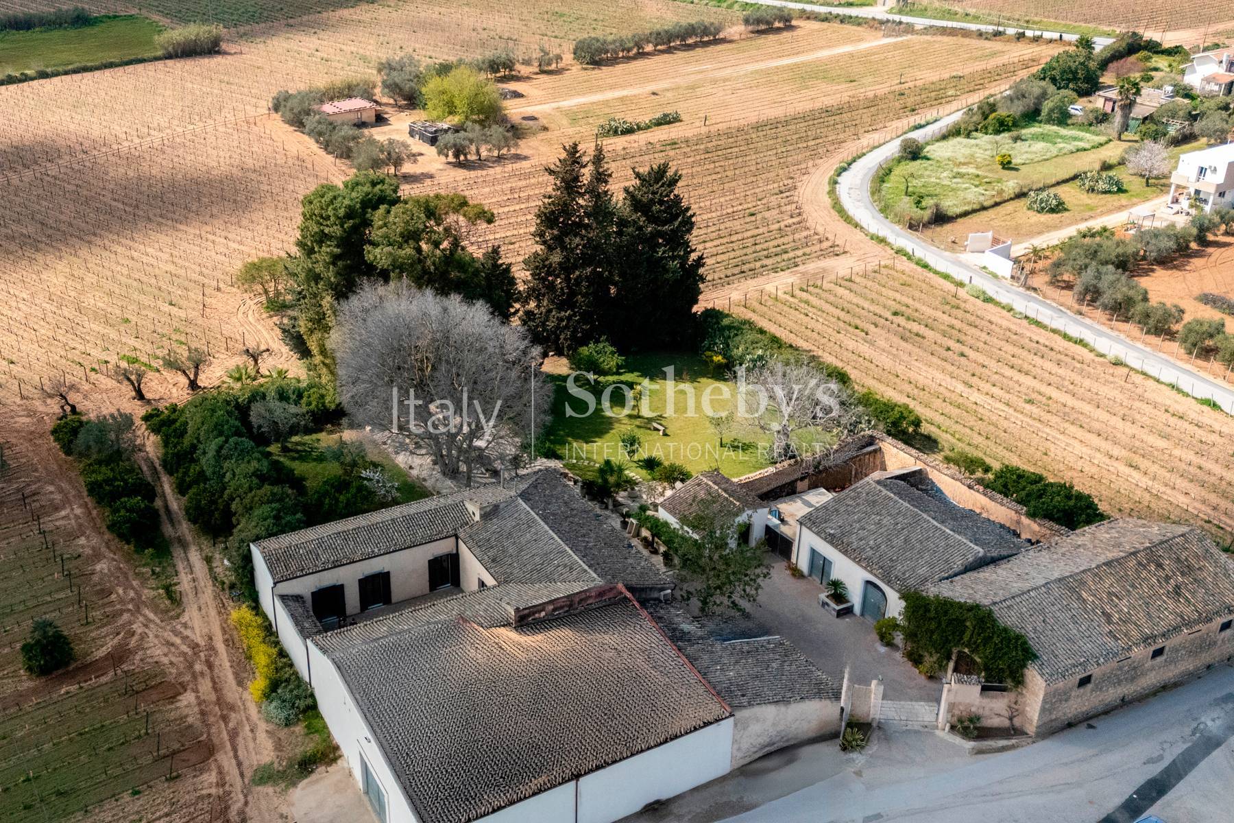  Historic Sicilian wine estate with vineyards and olive grove - 物件實景