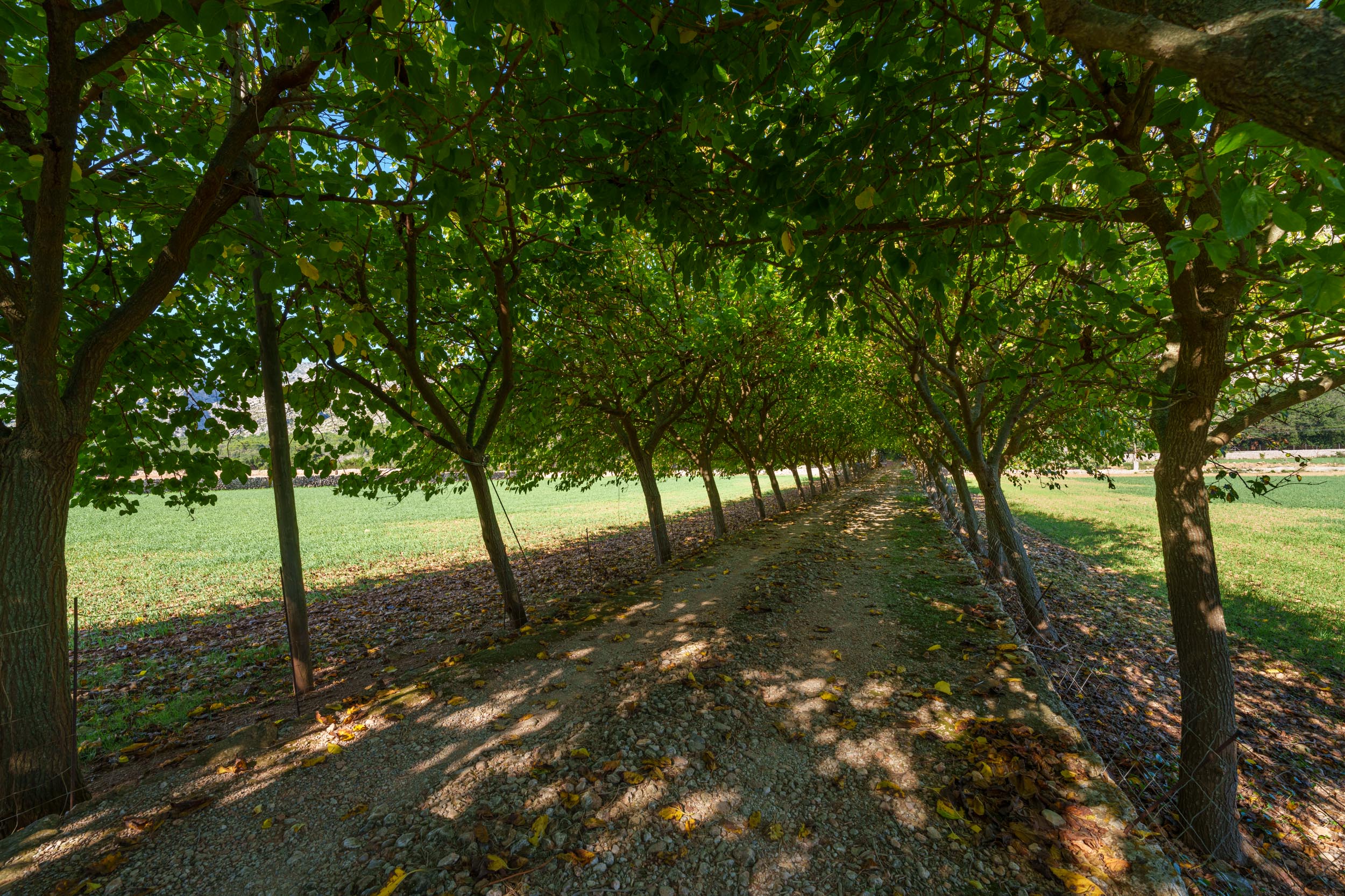 ObjectPhoto25