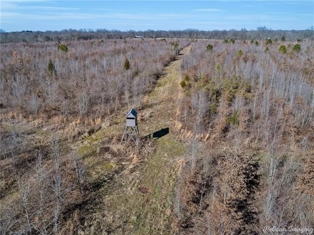 0 Highway 527, Elm Grove, Louisiana, 71051, United States, ,Residential,For Sale,0 Highway 527,1434134