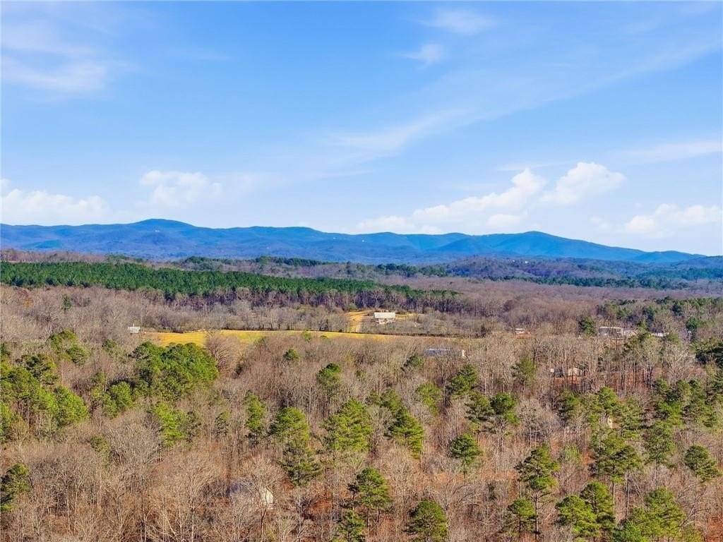 Talking Rock, Georgia, 30175, United States, 1 Bedroom Bedrooms, ,1 BathroomBathrooms,Residential,For Sale,2005739