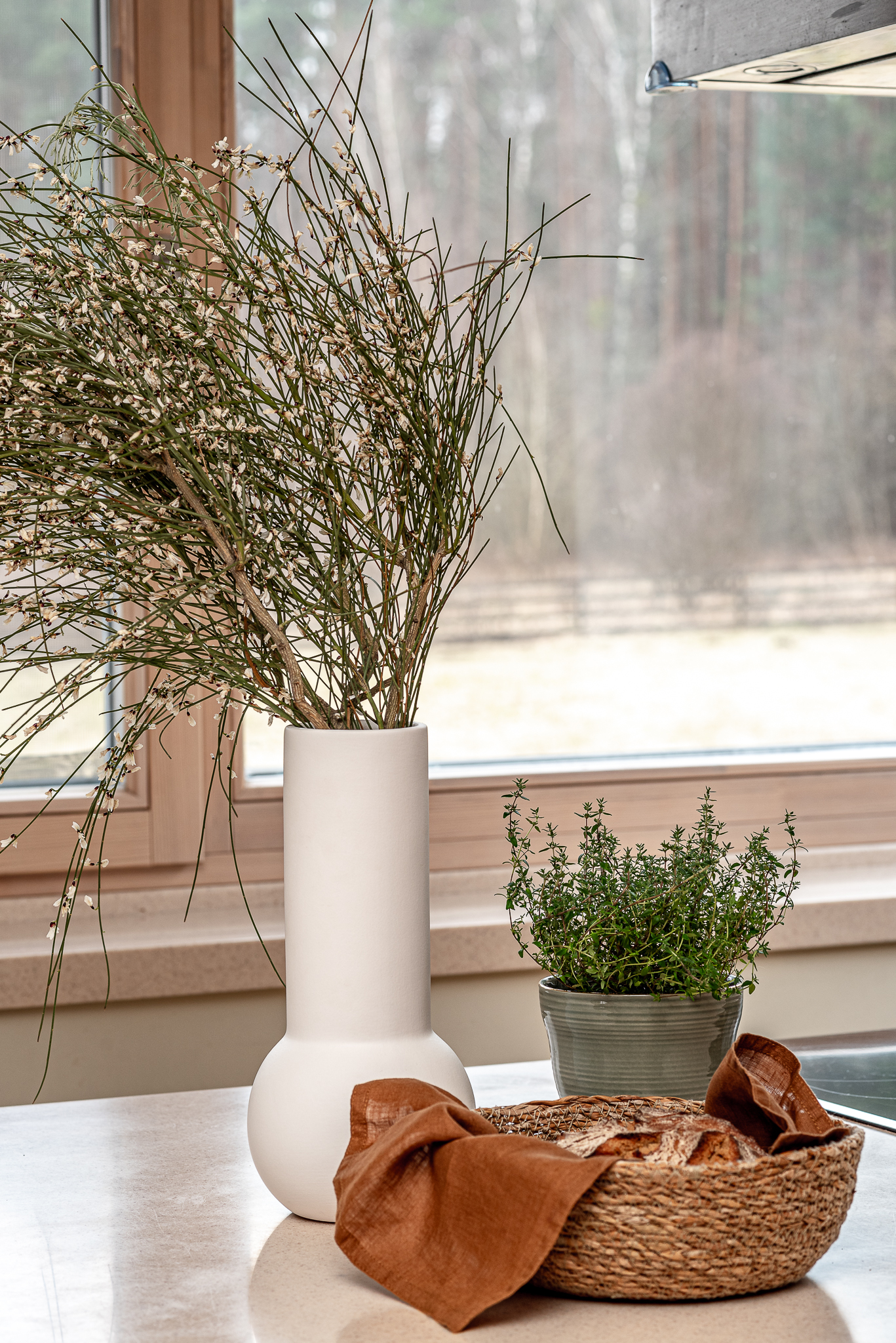  A spacious lakeshore residence near Druskininkai - 物件實景