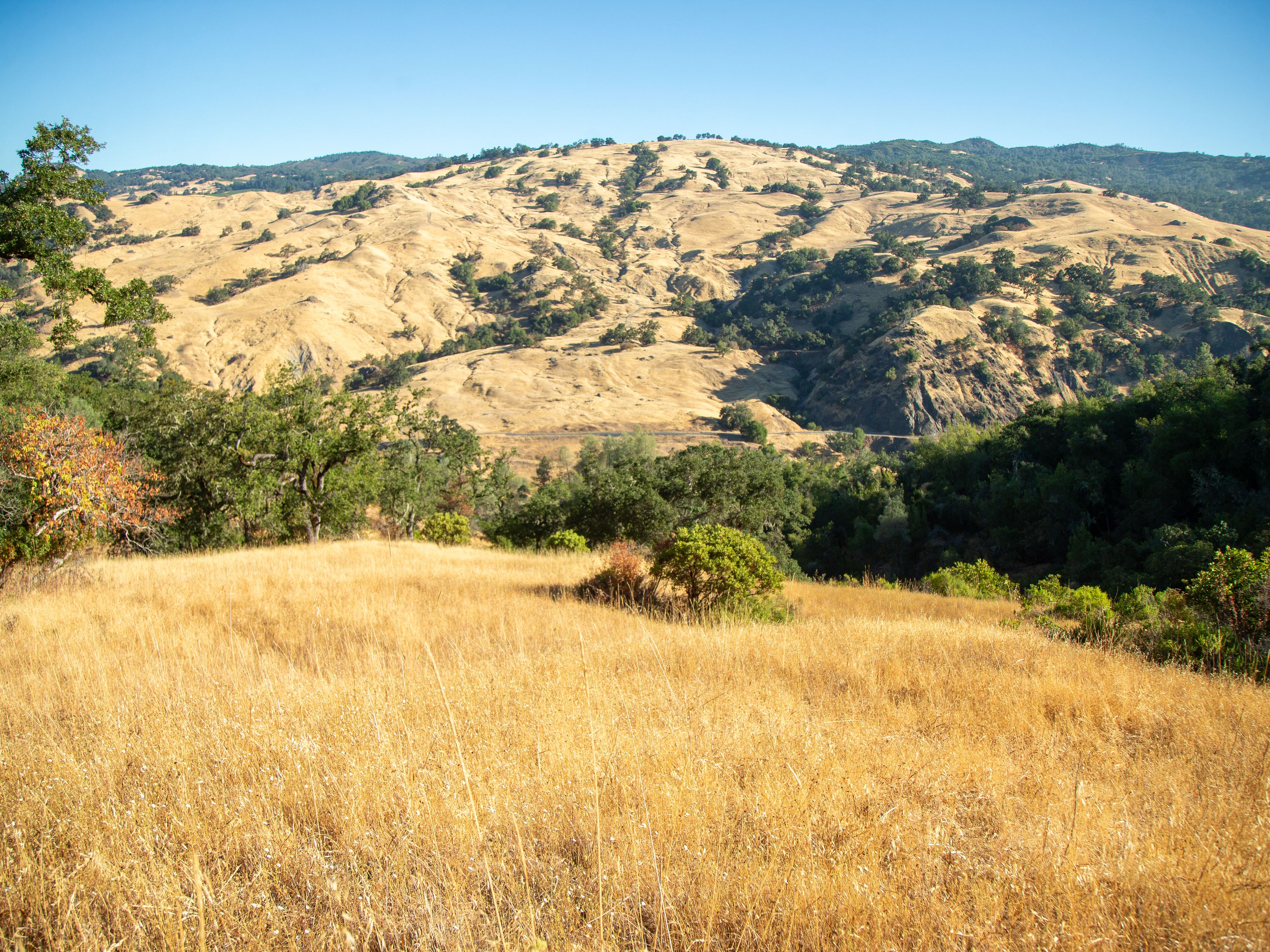  Very Rare Opportunity Alexander Valley Ranch - 物件實景