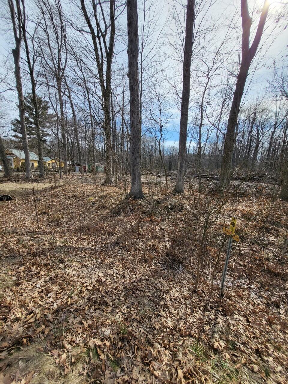 Union Pier, Michigan, 49129, United States, ,Land,For Sale,1989397