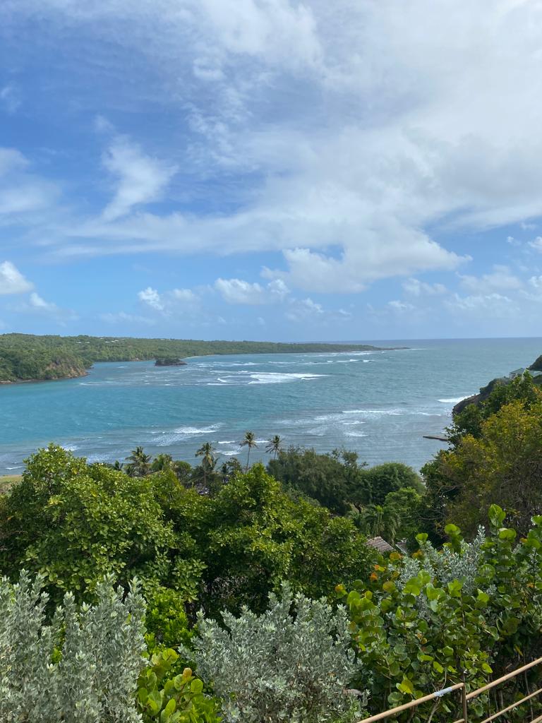 Coral View, Westerhall- St. David, St David, GD, 4 Bedrooms Bedrooms, ,5 BathroomsBathrooms,Residential,For Sale,Coral View, Westerhall- St. David,1462260