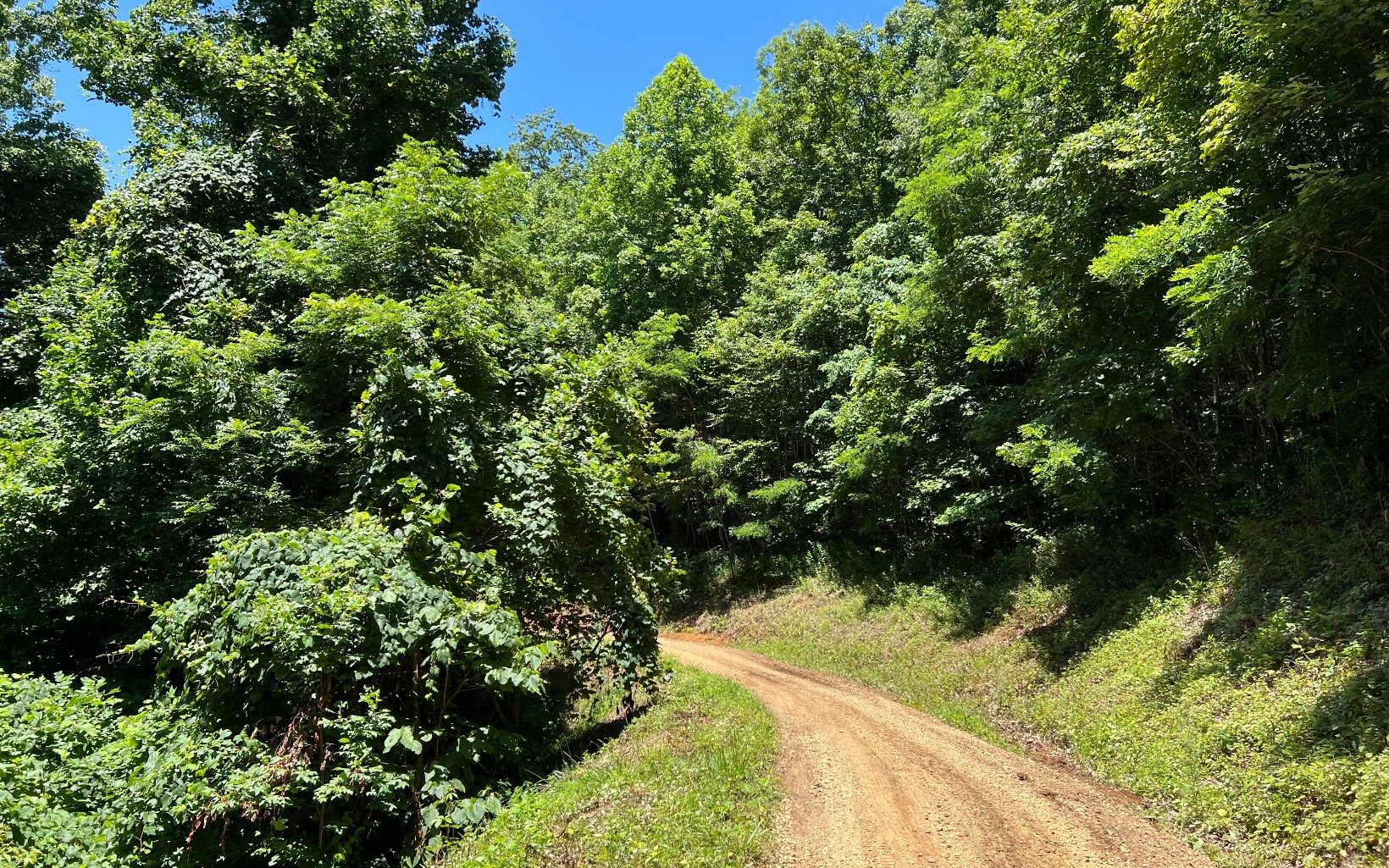 101ac Lori'S Mountain, Hayesville, North Carolina, 28904, United States, ,Residential,For Sale,101ac Lori'S Mountain,1304629