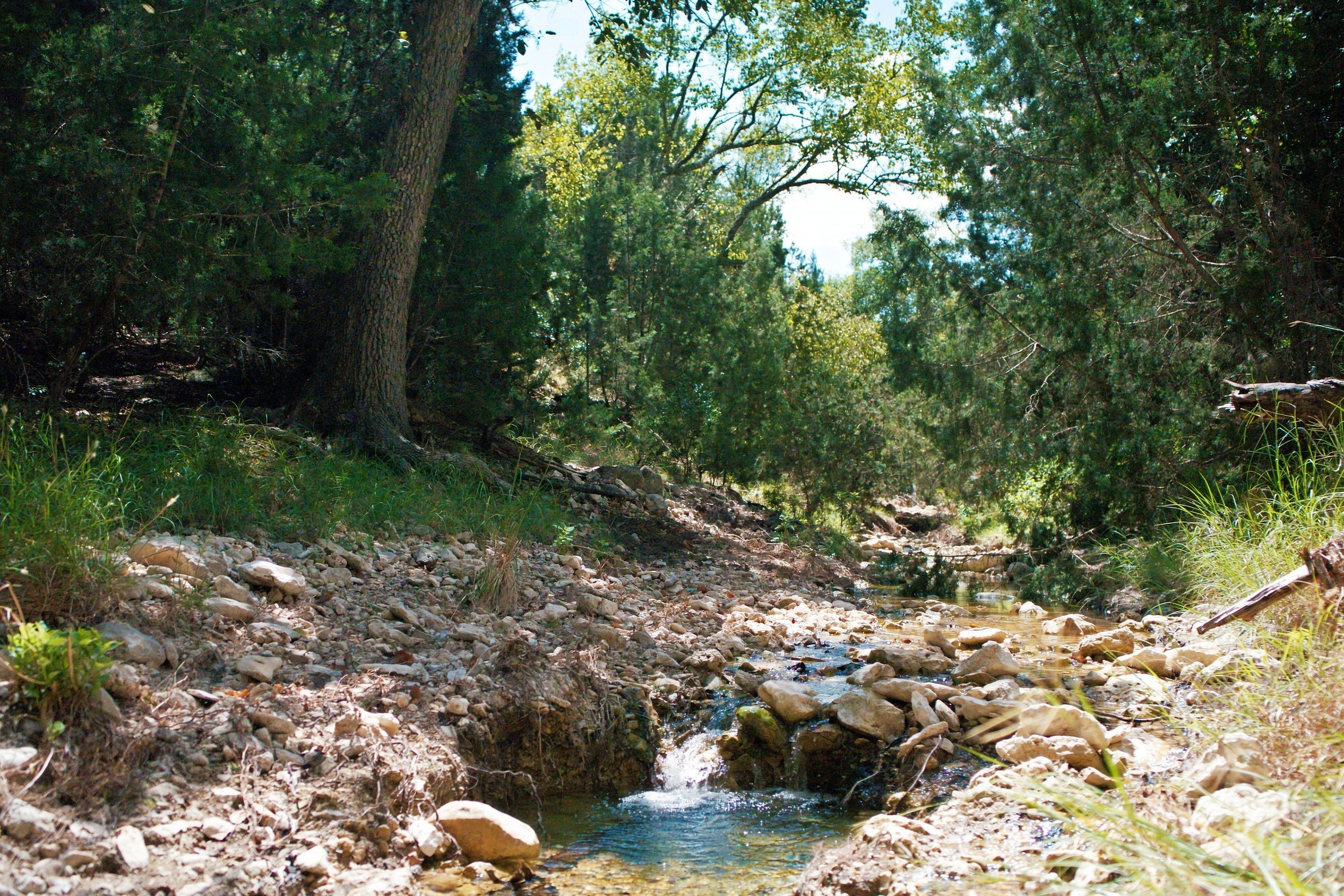 985+/- Acre 12 Springs Ranch - 物件實景