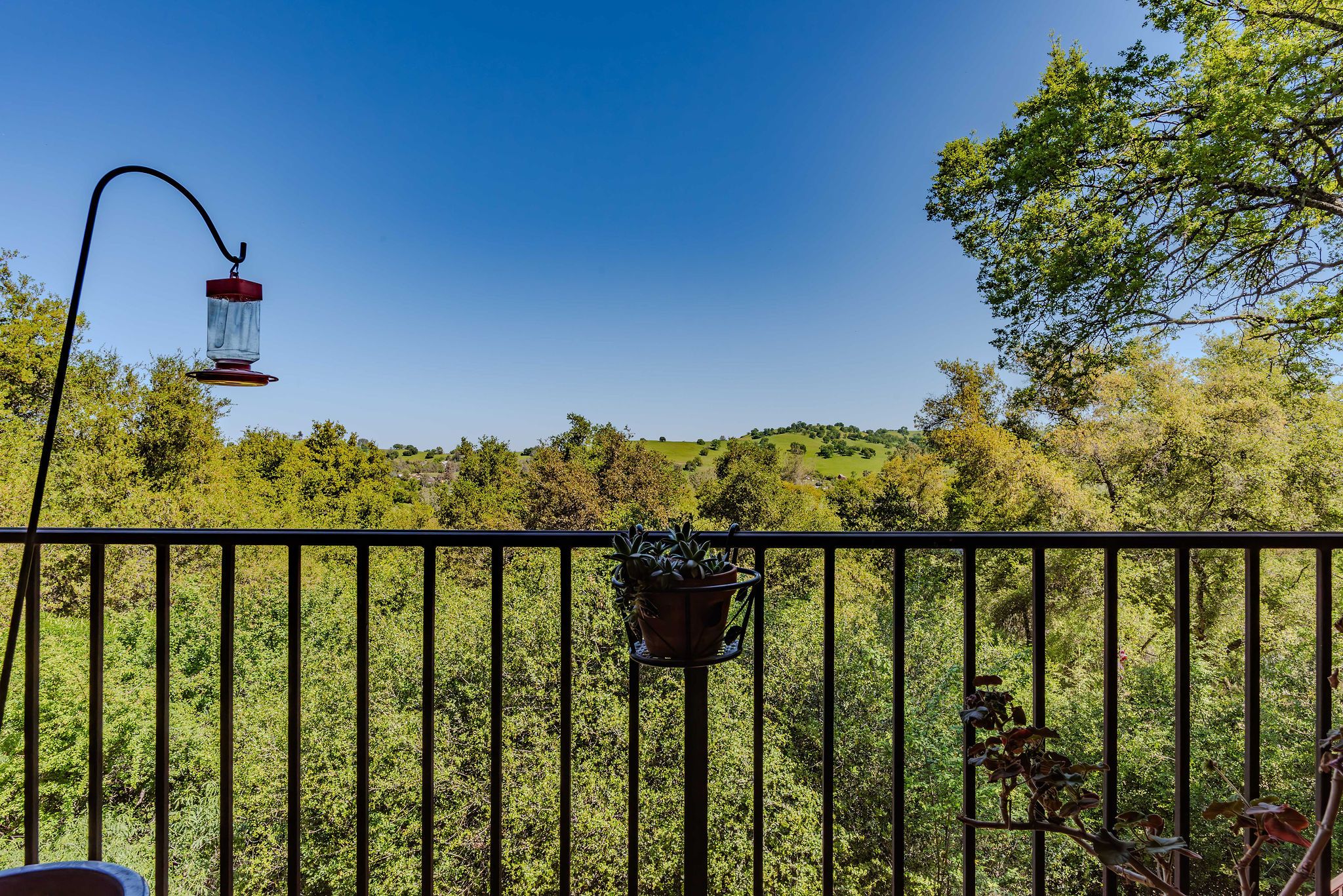  Mediterranean View Home Minutes from Downtown Sutter Creek - 物件實景
