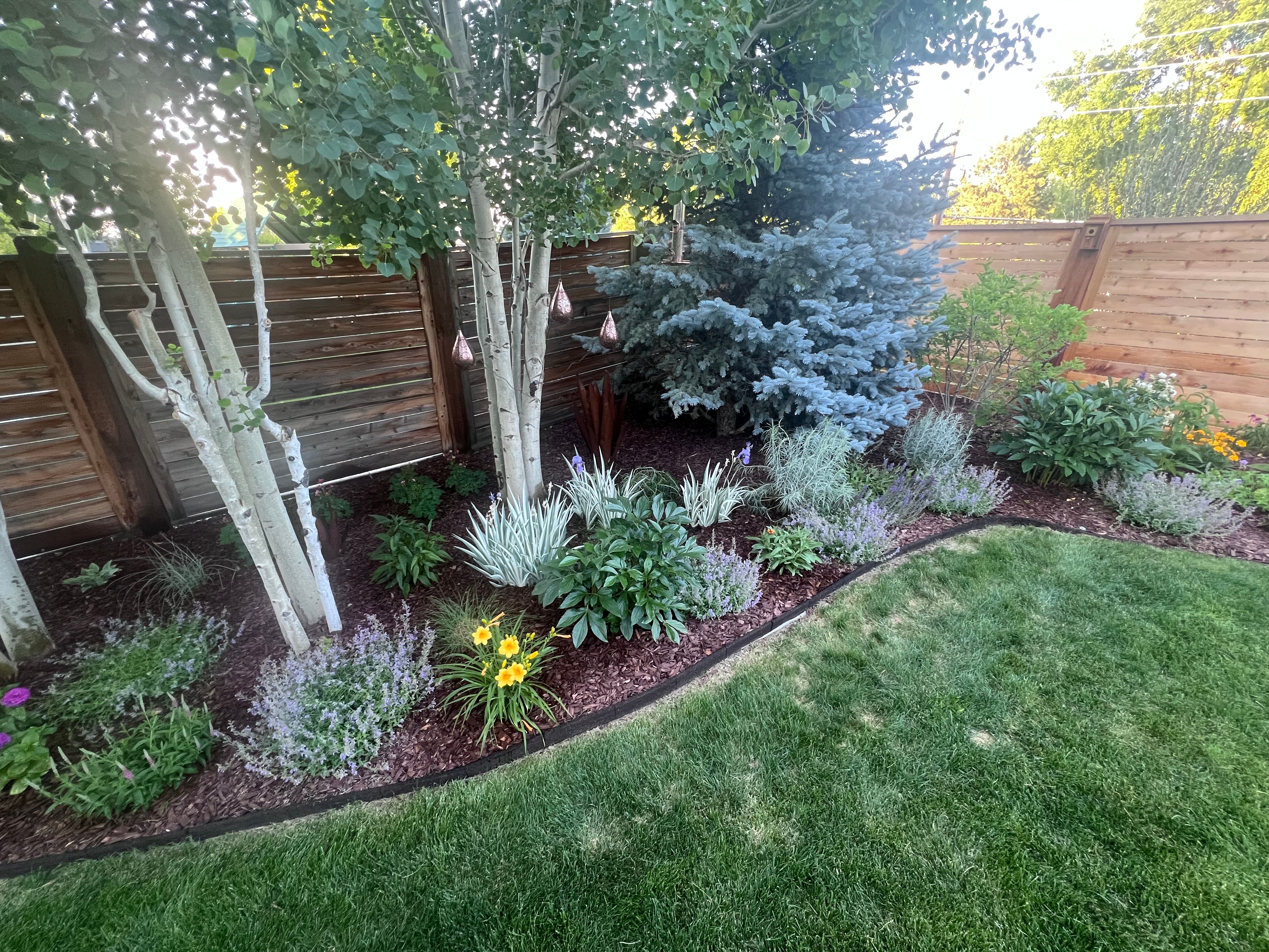  Thoughtfully  Updated and Move-In Ready - 物件實景