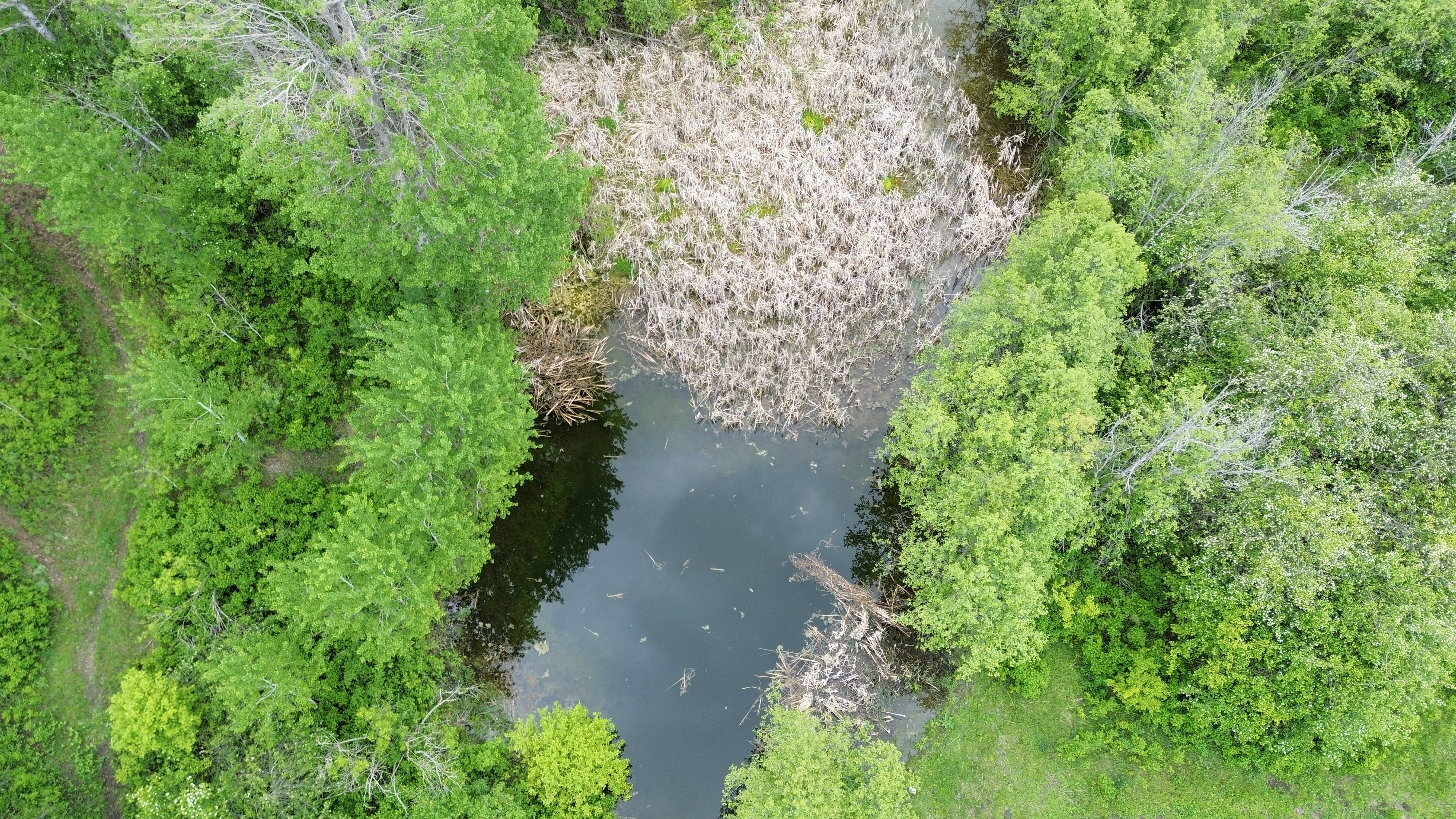 Kettle Falls, Washington, 99141, United States, 3 Bedrooms Bedrooms, ,2 BathroomsBathrooms,Residential,For Sale,1985709