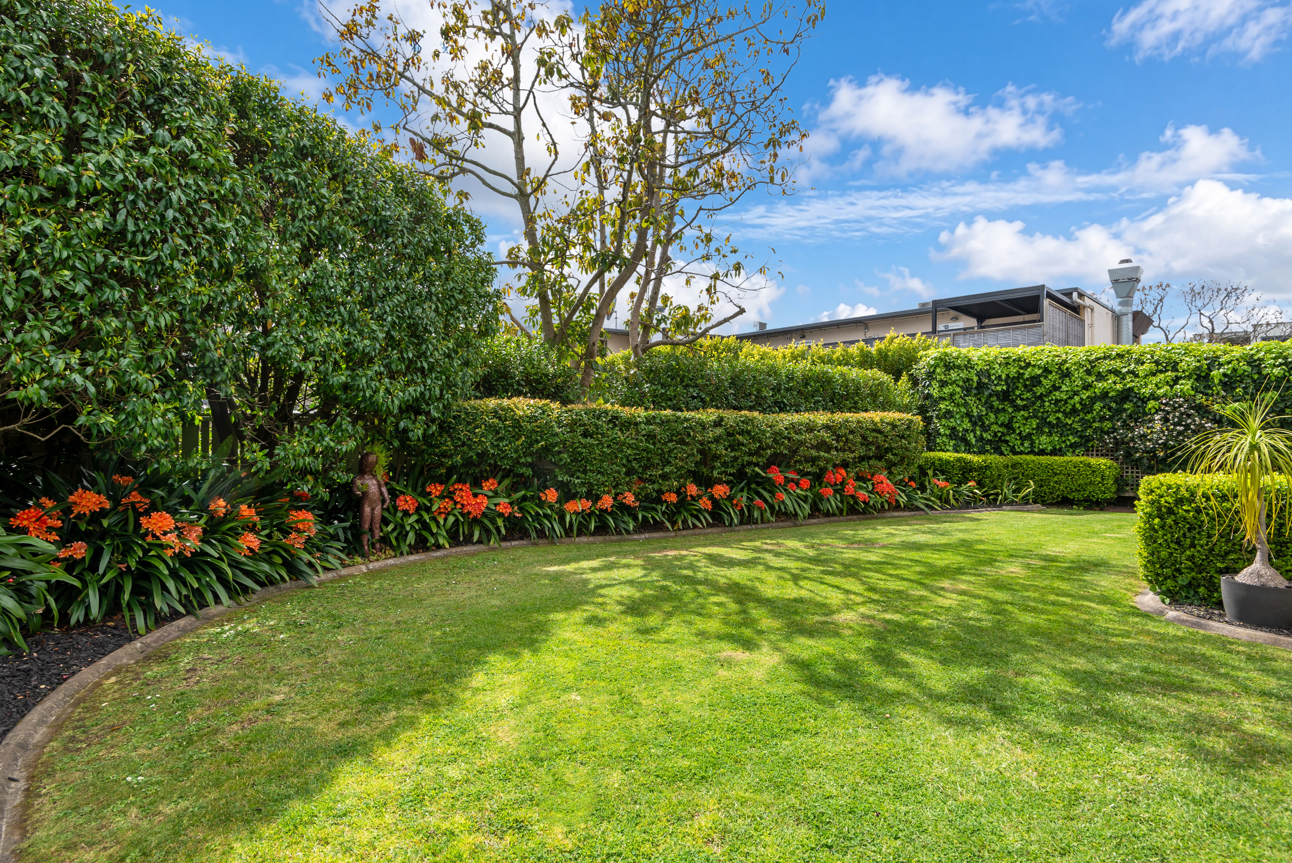  2/24 Eltham Road, Kohimarama - 物件實景