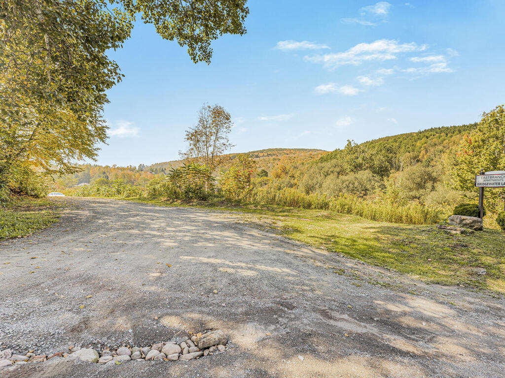 875 County Highway 38, Arkville, New York, 12406, United States, 17 Bedrooms Bedrooms, ,12 BathroomsBathrooms,Residential,For Sale,875 County Highway 38,1363420