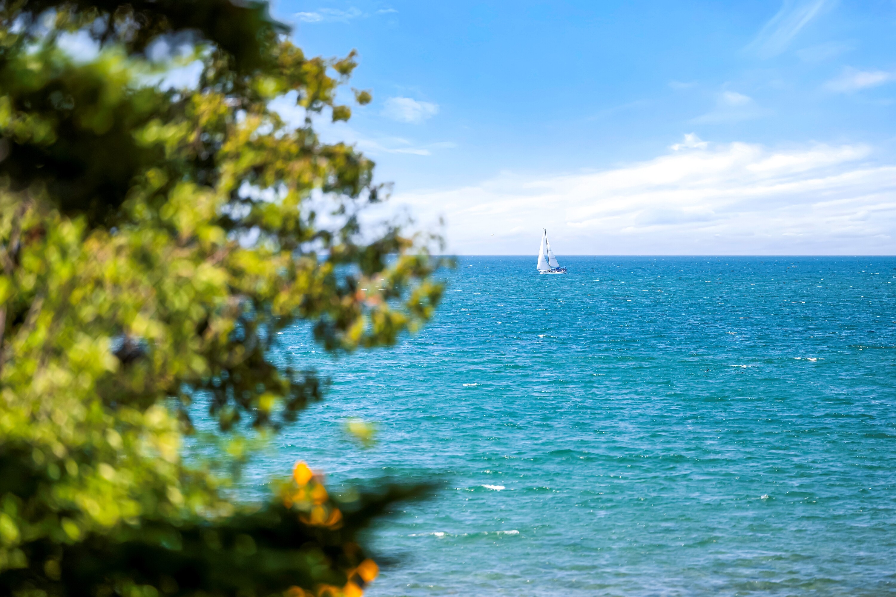  Coastal Retreat Saugeen Shores - 物件實景