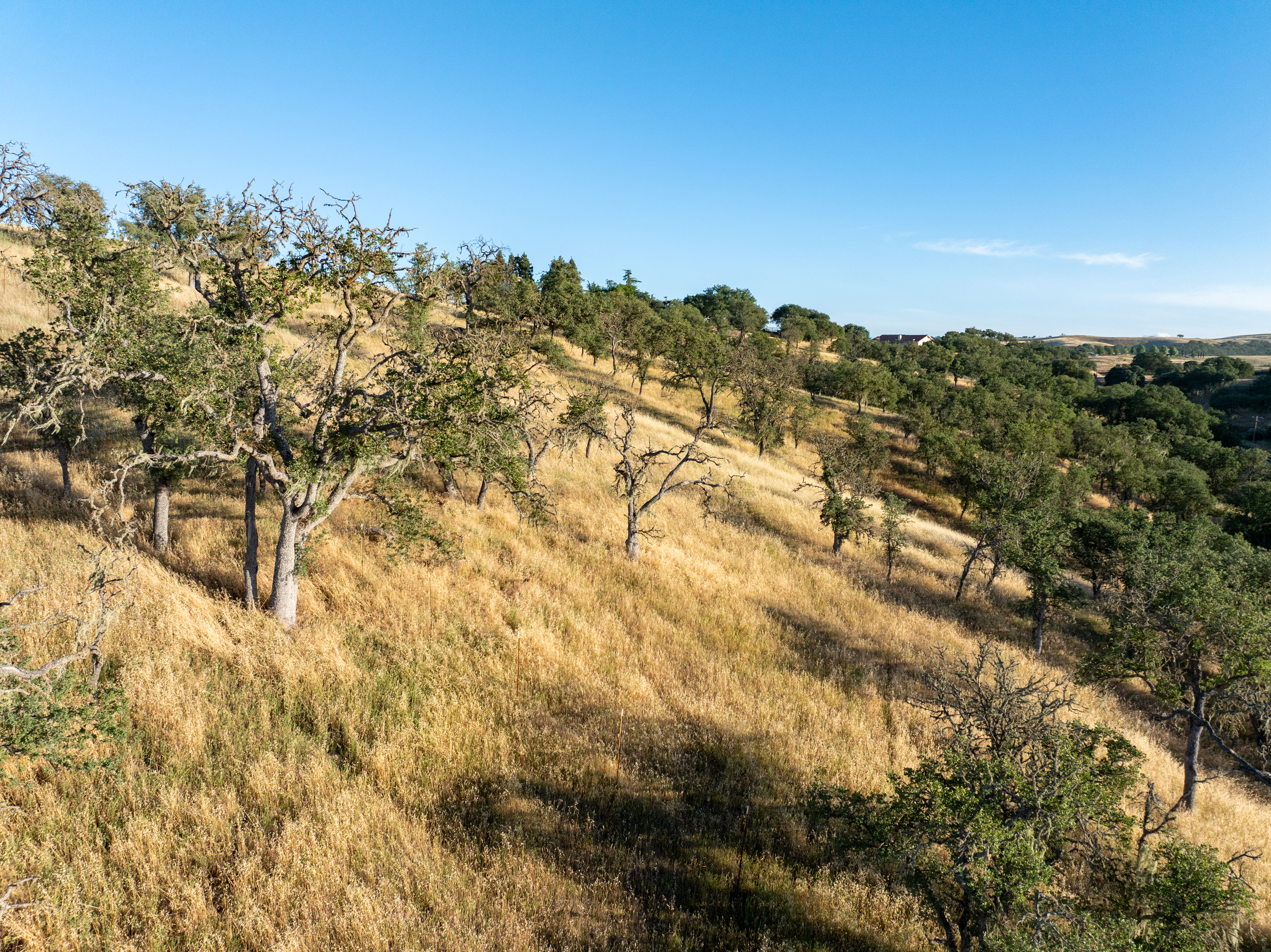  6275 Twin Canyon Lane - 物件實景