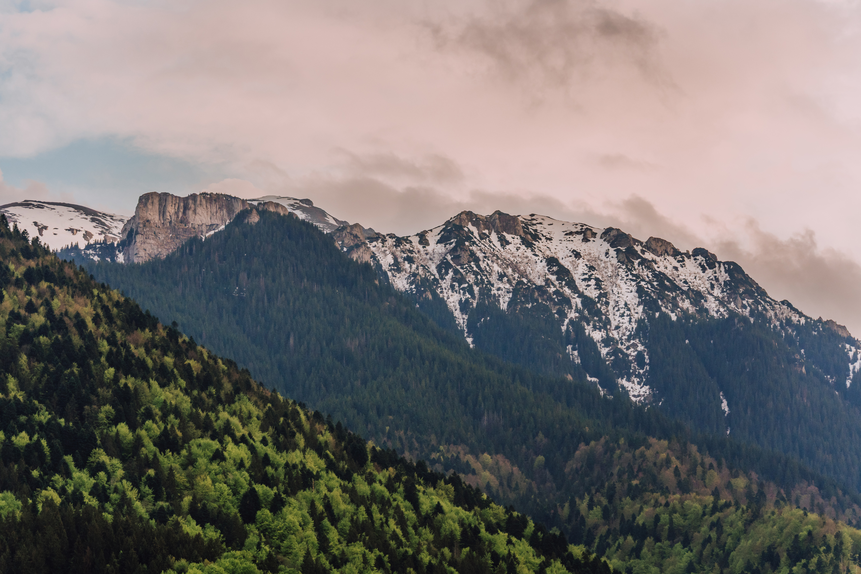  Skyline Chalet, the Cabin Between Forest and Mountains, Braov - 物件實景