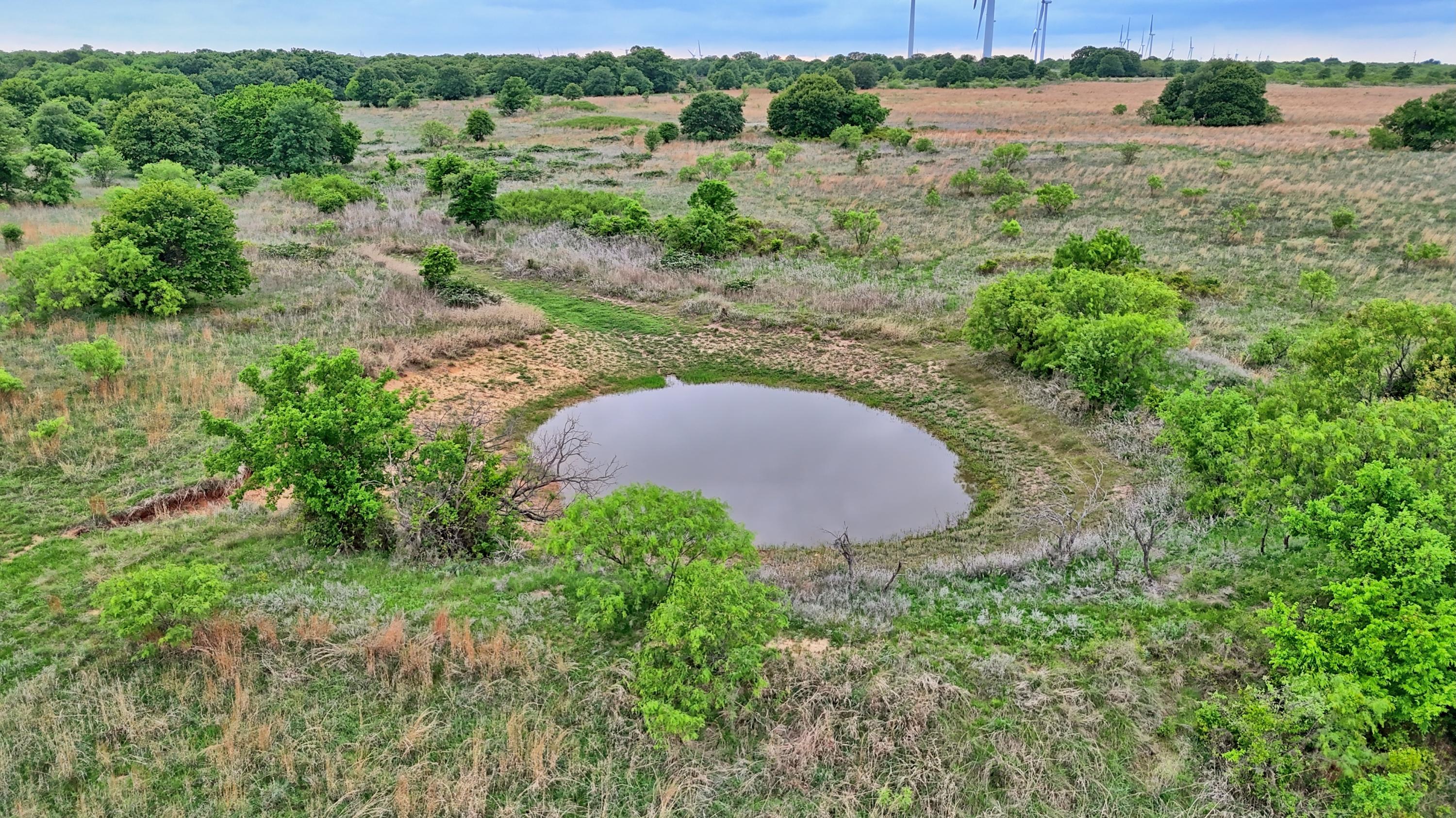  95 Acres in Clay County - 物件實景