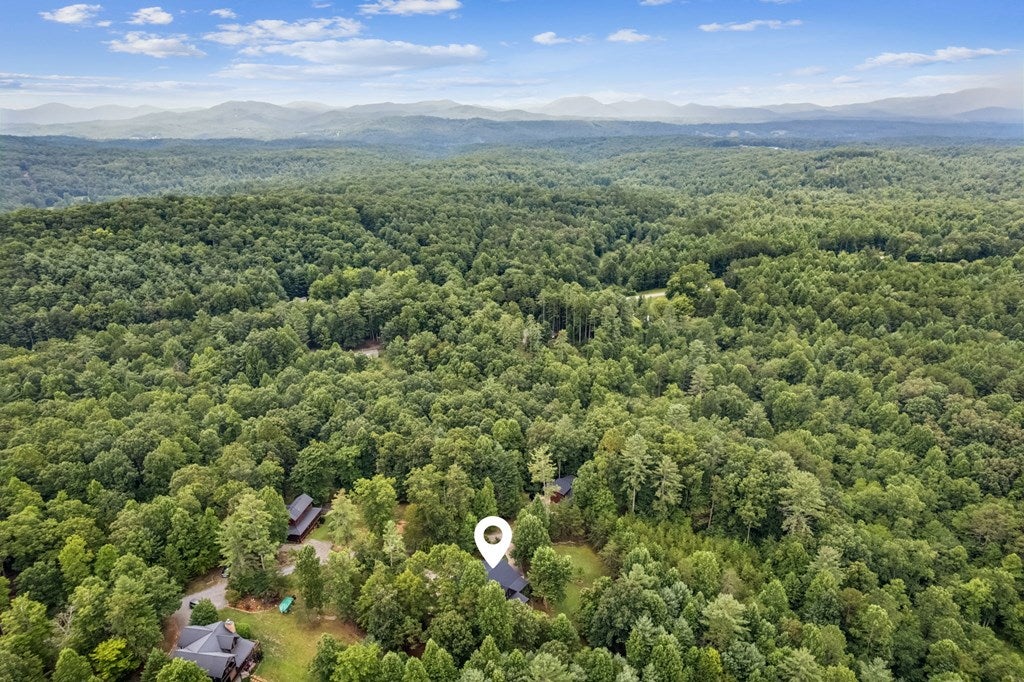 Morganton, Georgia, 30560, United States, 3 Bedrooms Bedrooms, ,3 BathroomsBathrooms,Residential,For Sale,1905378