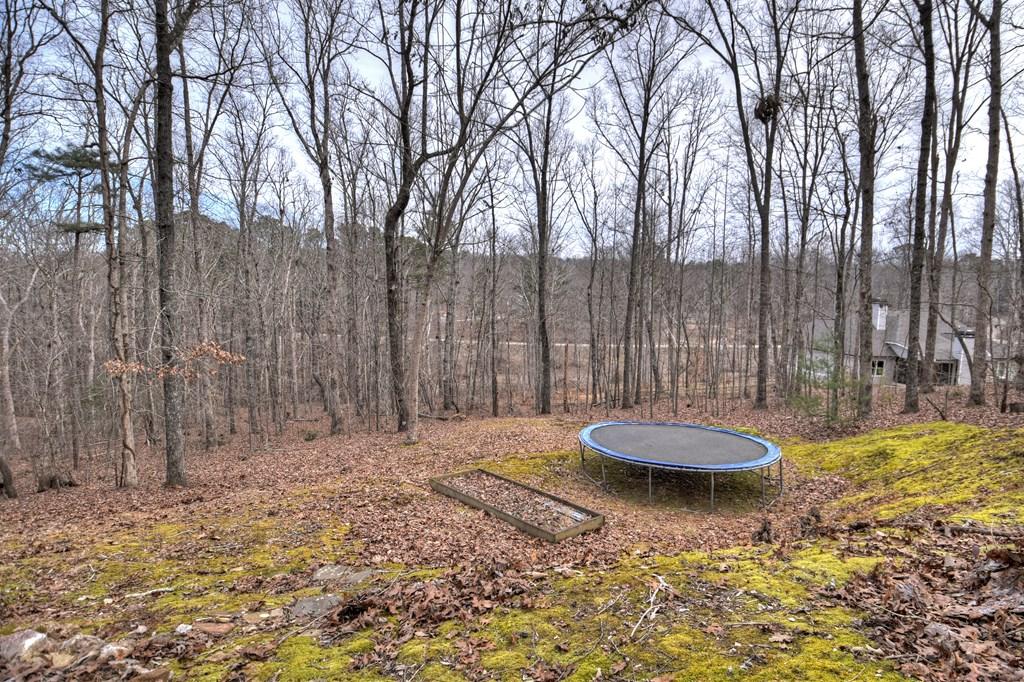 Talking Rock, Georgia, 30175, United States, 4 Bedrooms Bedrooms, ,4 BathroomsBathrooms,Residential,For Sale,1692764