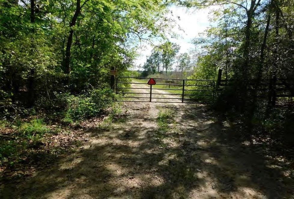 Huntington, Texas, 75949, United States, ,Land,For Sale,1784283